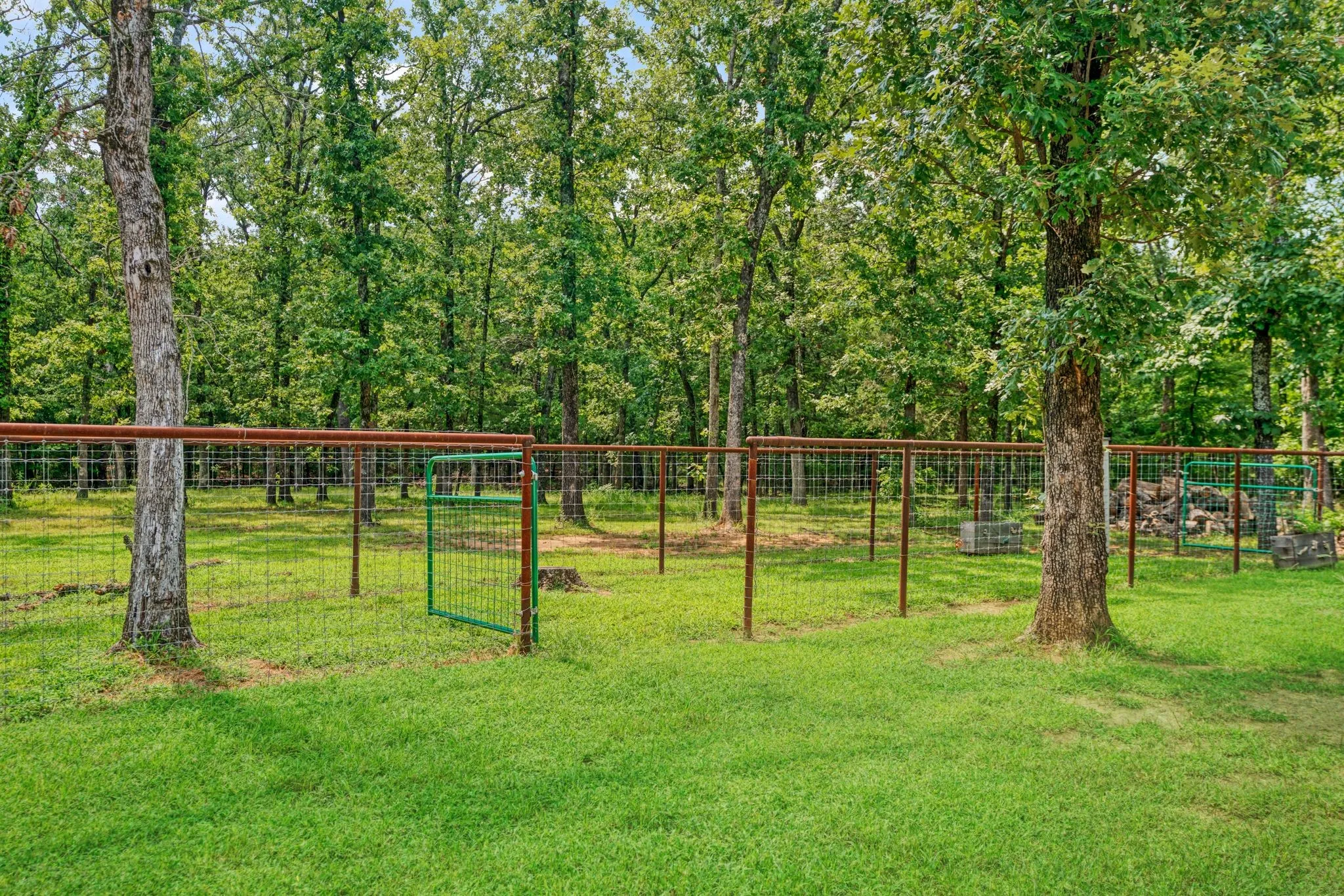 Expansive grassy area featuring a wire fence with a green gate, mature trees, and dense wooded surroundings