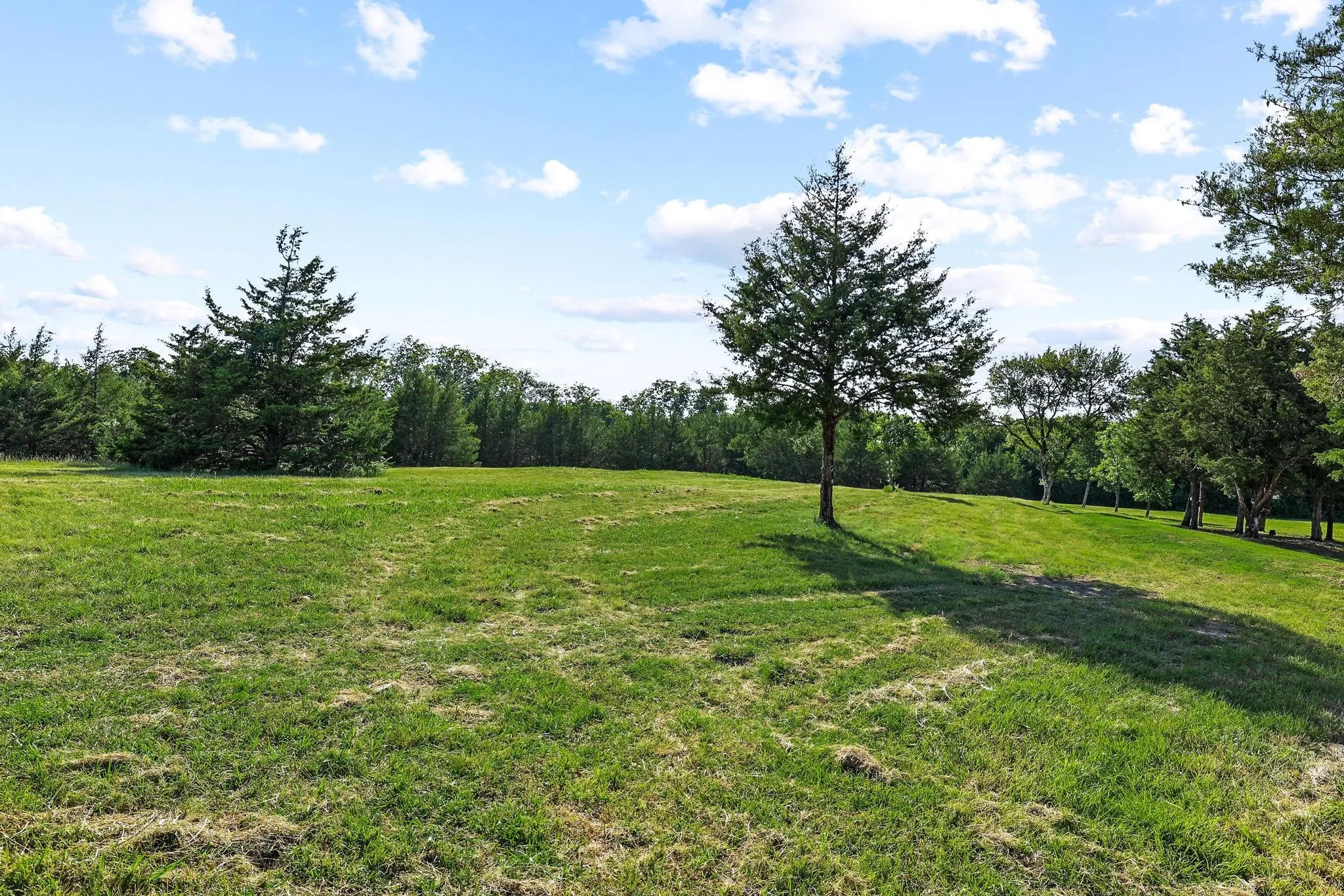 Single Family Residence For Sale in Fannin County , 511 County Road 4264, Leonard, Texas 75452, 2 Bedroom, 3 Bathroom, Garage spaces, 2,678 Sqft, built in 2021, mls#21332891, Real Estate Agent in Leonard, Homes For Sale in Fannin county, Homes For Sale in Leonard, Realtor in Leonard Texas, Real Estate Brokerage Independent Realty Texas, Luminita Cordes Realtor