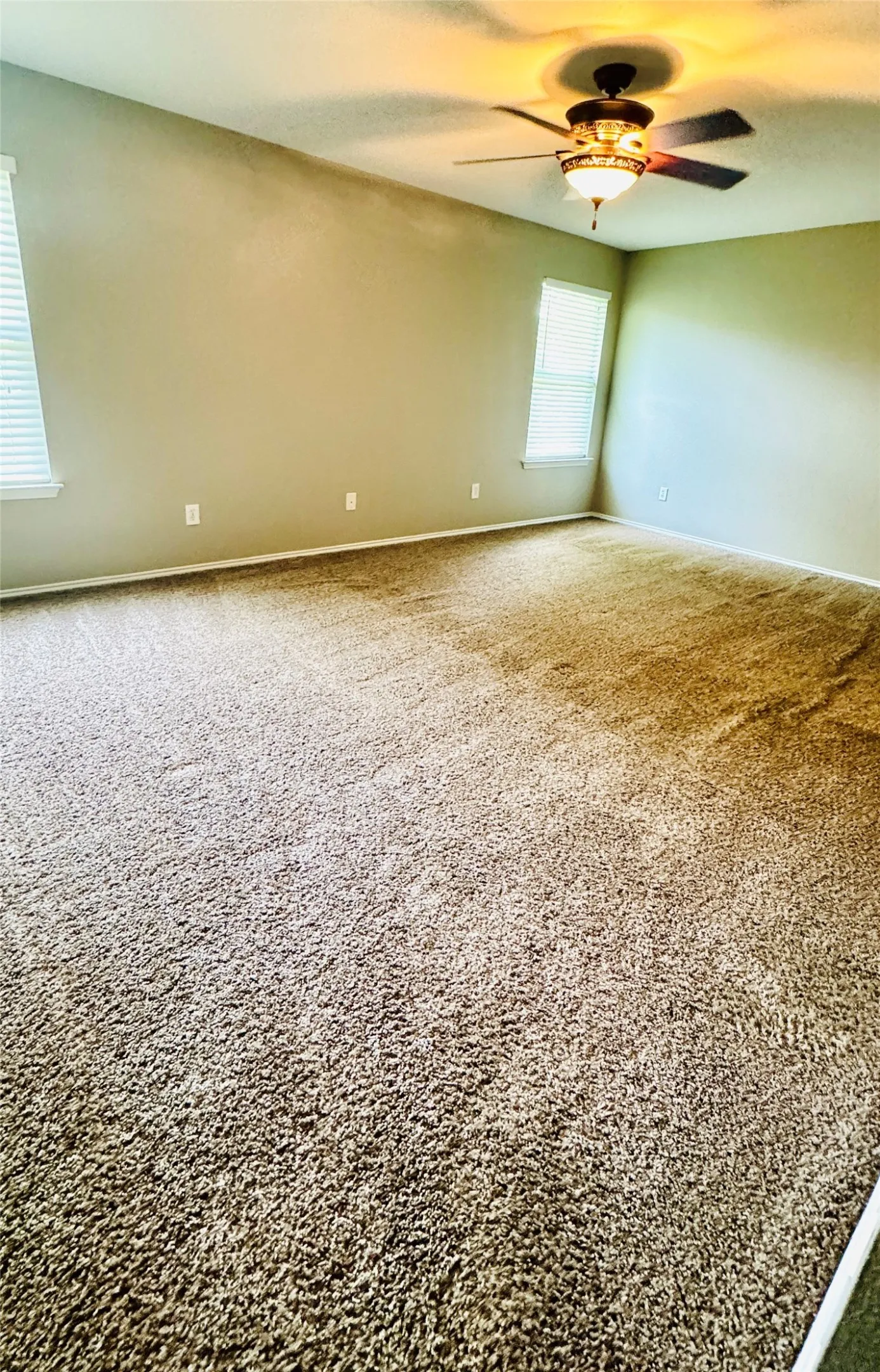 Spacious room featuring broadloom carpeting, two windows with blinds, a ceiling fan with integrated lighting, and neutral wall tones