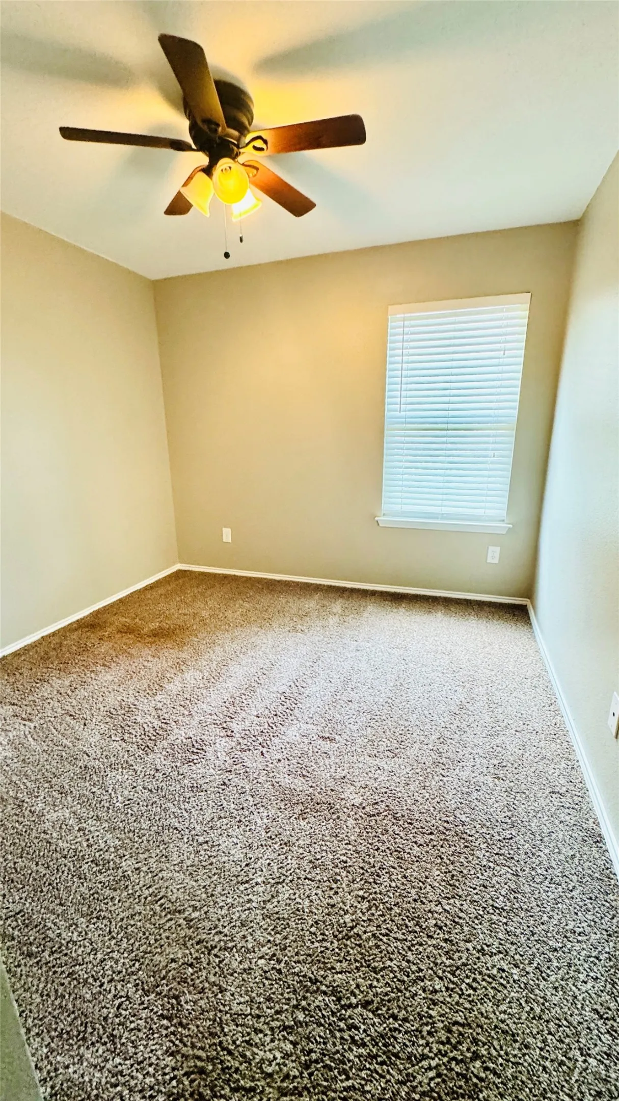 Neutral-toned walls complement the textured carpet flooring