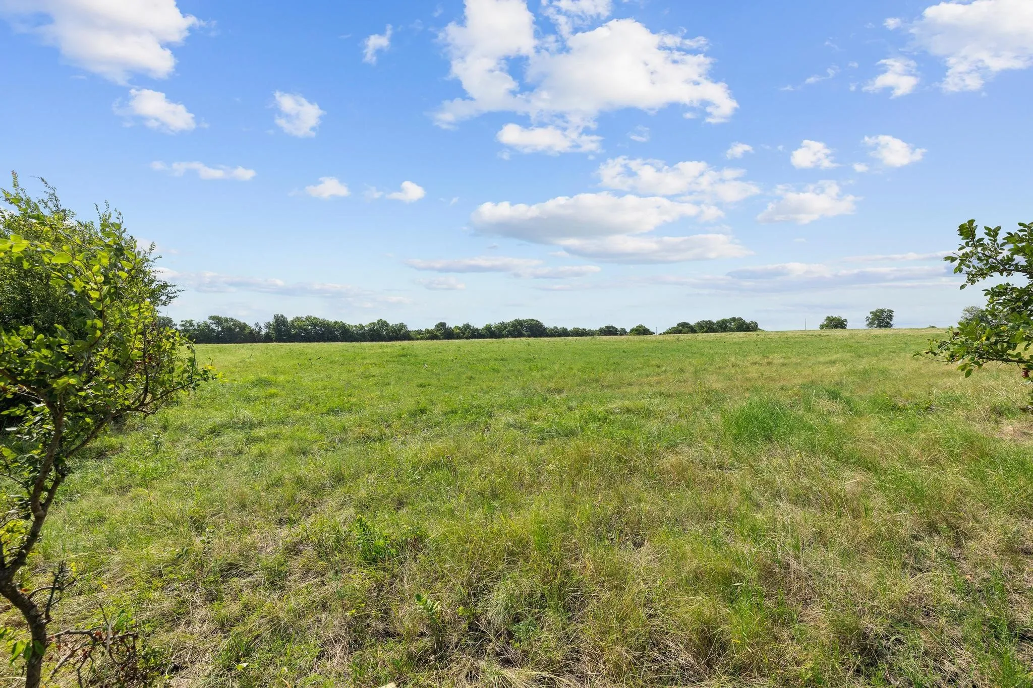 Unimproved Land For Sale in Grayson County , 39 Acres Brown Road, Sherman, Texas 75090, 0, 0, Garage spaces, 0 Sqft, built in 0, mls#21329182, Real Estate Agent in Sherman, Homes For Sale in Grayson county, Homes For Sale in Sherman, Realtor in Sherman Texas, Real Estate Brokerage Independent Realty Texas, Luminita Cordes Realtor