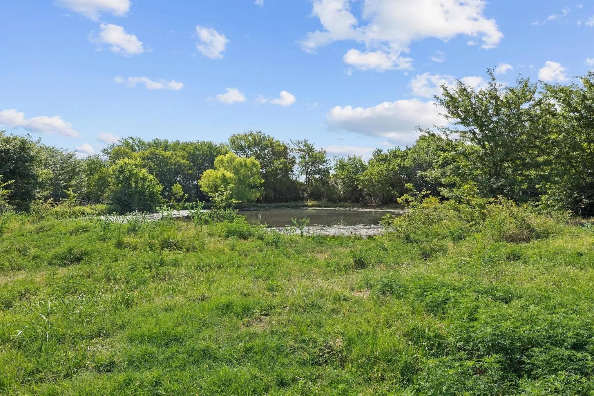 Unimproved Land For Sale in Grayson County , 39 Acres Brown Road, Sherman, Texas 75090, 0, 0, Garage spaces, 0 Sqft, built in 0, mls#21329182, Real Estate Agent in Sherman, Homes For Sale in Grayson county, Homes For Sale in Sherman, Realtor in Sherman Texas, Real Estate Brokerage Independent Realty Texas, Luminita Cordes Realtor