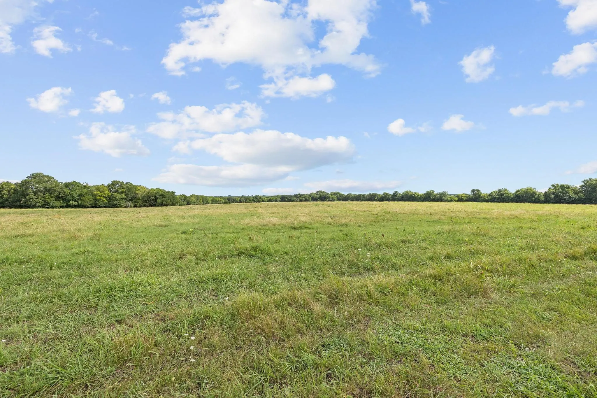 Unimproved Land For Sale in Grayson County , 39 Acres Brown Road, Sherman, Texas 75090, 0, 0, Garage spaces, 0 Sqft, built in 0, mls#21329182, Real Estate Agent in Sherman, Homes For Sale in Grayson county, Homes For Sale in Sherman, Realtor in Sherman Texas, Real Estate Brokerage Independent Realty Texas, Luminita Cordes Realtor