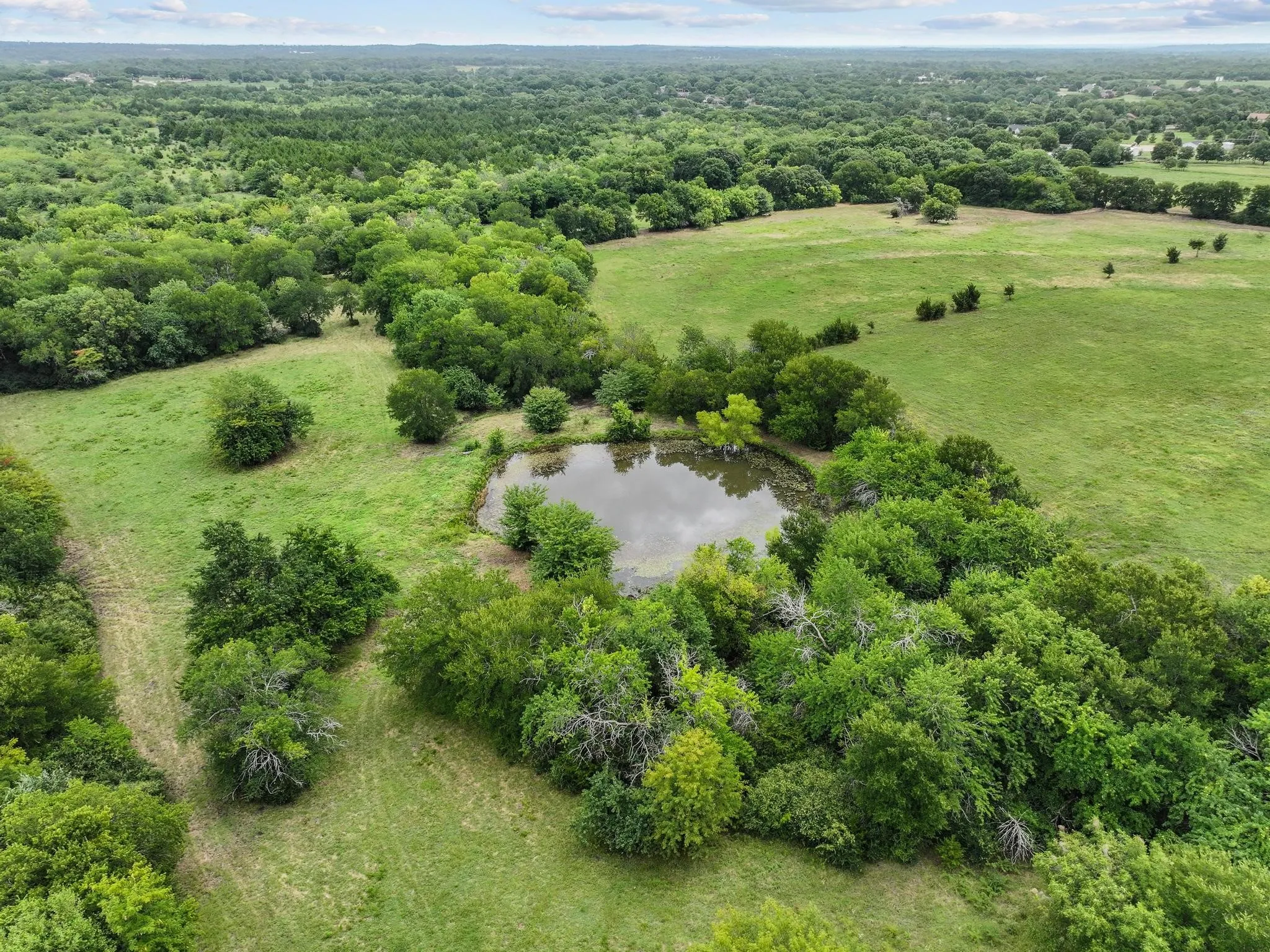 Unimproved Land For Sale in Grayson County , 39 Acres Brown Road, Sherman, Texas 75090, 0, 0, Garage spaces, 0 Sqft, built in 0, mls#21329182, Real Estate Agent in Sherman, Homes For Sale in Grayson county, Homes For Sale in Sherman, Realtor in Sherman Texas, Real Estate Brokerage Independent Realty Texas, Luminita Cordes Realtor