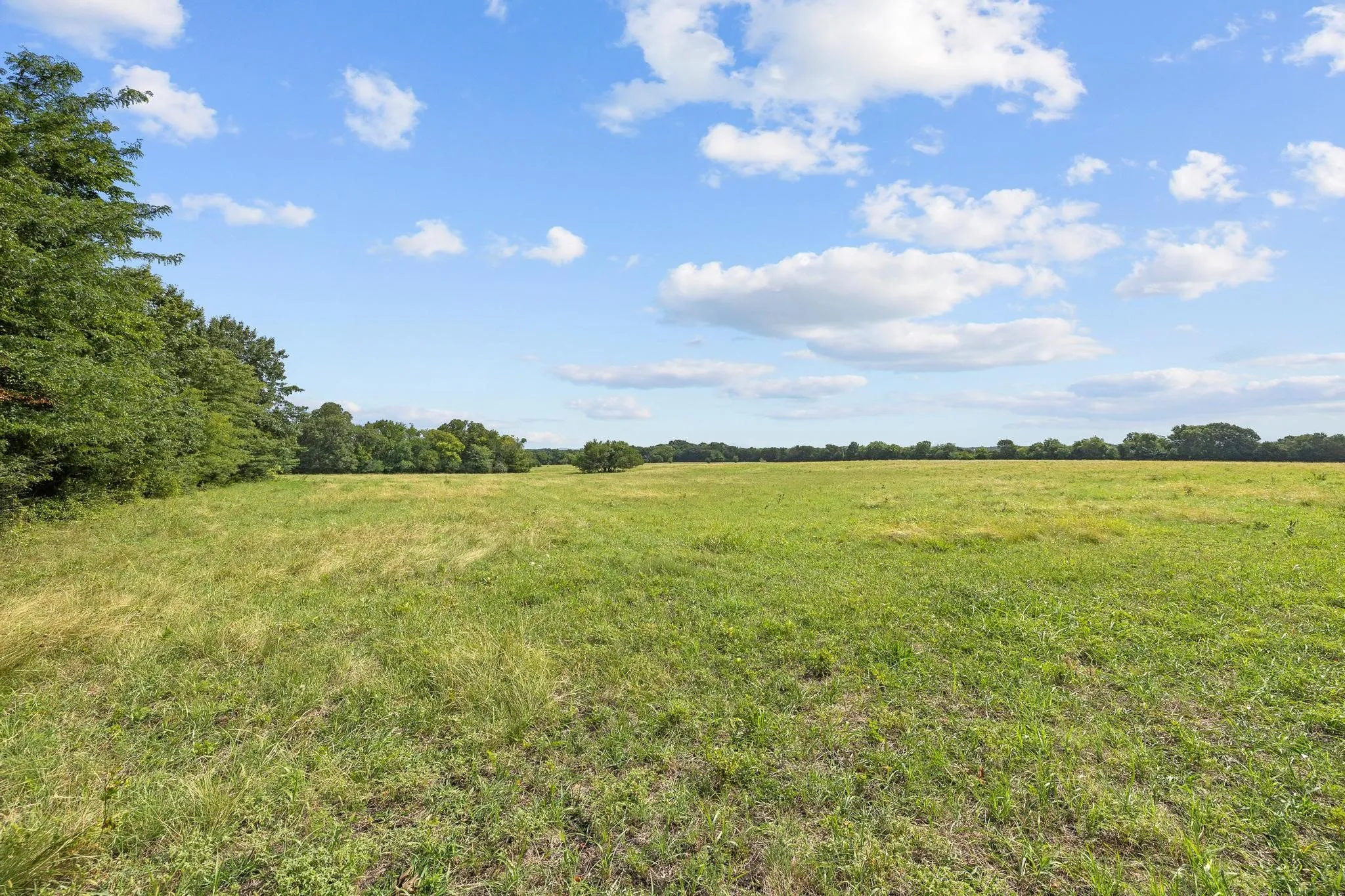 Unimproved Land For Sale in Grayson County , 39 Acres Brown Road, Sherman, Texas 75090, 0, 0, Garage spaces, 0 Sqft, built in 0, mls#21329182, Real Estate Agent in Sherman, Homes For Sale in Grayson county, Homes For Sale in Sherman, Realtor in Sherman Texas, Real Estate Brokerage Independent Realty Texas, Luminita Cordes Realtor