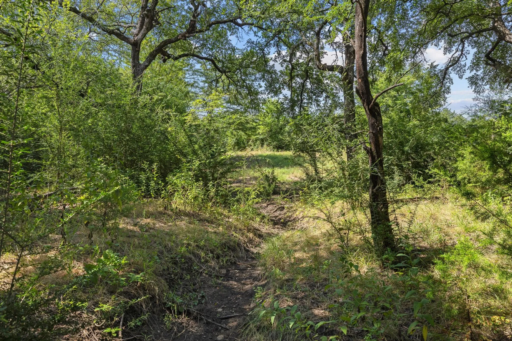 Unimproved Land For Sale in Grayson County , 39 Acres Brown Road, Sherman, Texas 75090, 0, 0, Garage spaces, 0 Sqft, built in 0, mls#21329182, Real Estate Agent in Sherman, Homes For Sale in Grayson county, Homes For Sale in Sherman, Realtor in Sherman Texas, Real Estate Brokerage Independent Realty Texas, Luminita Cordes Realtor