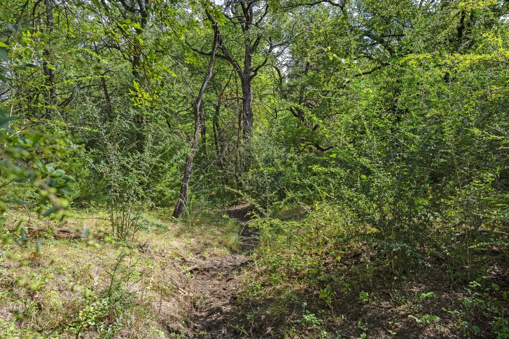 Unimproved Land For Sale in Grayson County , 39 Acres Brown Road, Sherman, Texas 75090, 0, 0, Garage spaces, 0 Sqft, built in 0, mls#21329182, Real Estate Agent in Sherman, Homes For Sale in Grayson county, Homes For Sale in Sherman, Realtor in Sherman Texas, Real Estate Brokerage Independent Realty Texas, Luminita Cordes Realtor