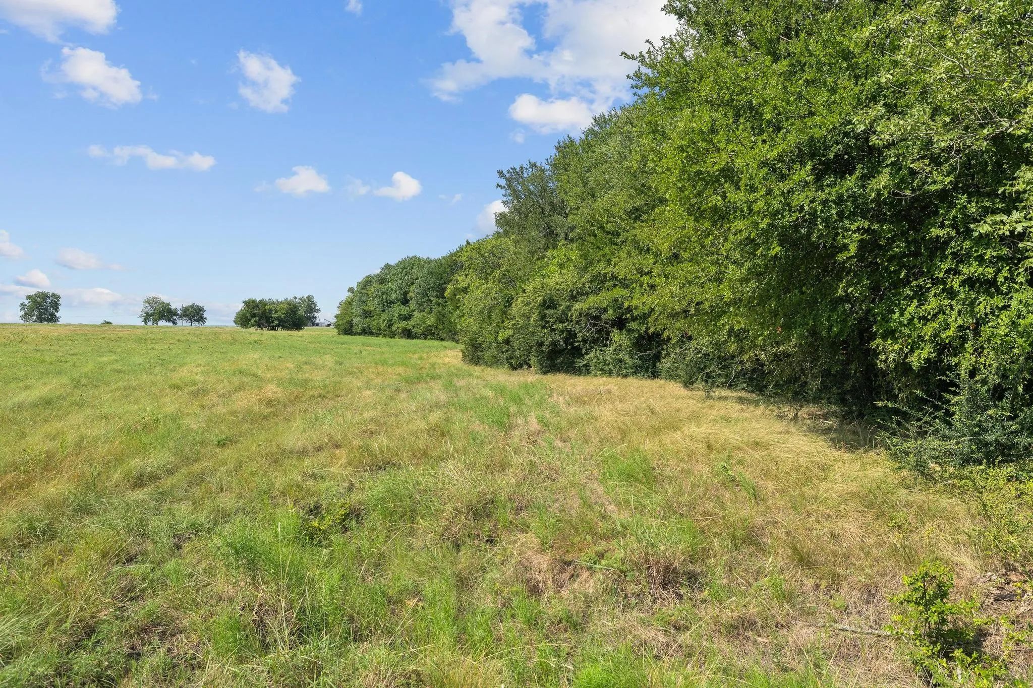 Unimproved Land For Sale in Grayson County , 39 Acres Brown Road, Sherman, Texas 75090, 0, 0, Garage spaces, 0 Sqft, built in 0, mls#21329182, Real Estate Agent in Sherman, Homes For Sale in Grayson county, Homes For Sale in Sherman, Realtor in Sherman Texas, Real Estate Brokerage Independent Realty Texas, Luminita Cordes Realtor