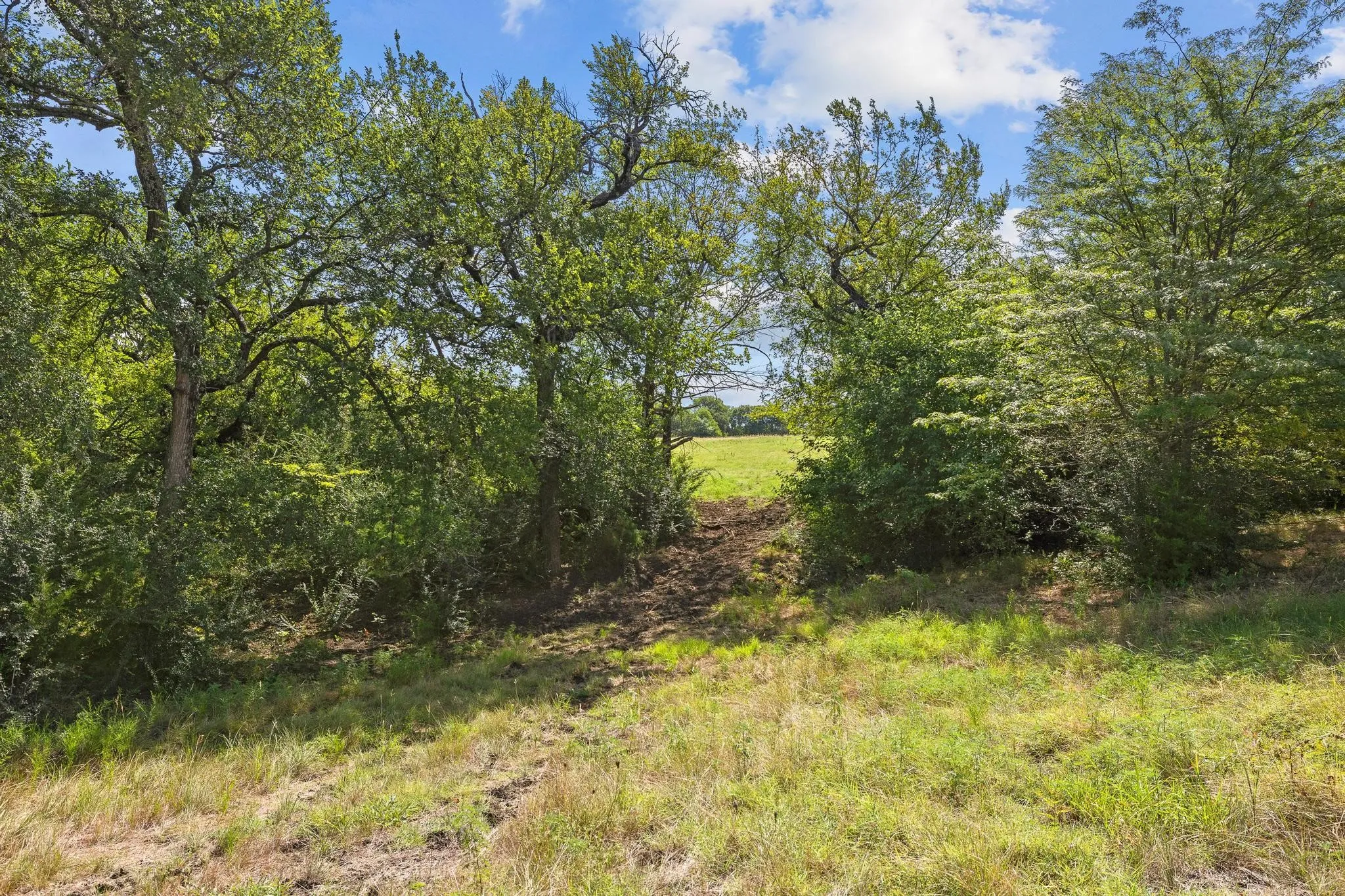 Unimproved Land For Sale in Grayson County , 39 Acres Brown Road, Sherman, Texas 75090, 0, 0, Garage spaces, 0 Sqft, built in 0, mls#21329182, Real Estate Agent in Sherman, Homes For Sale in Grayson county, Homes For Sale in Sherman, Realtor in Sherman Texas, Real Estate Brokerage Independent Realty Texas, Luminita Cordes Realtor