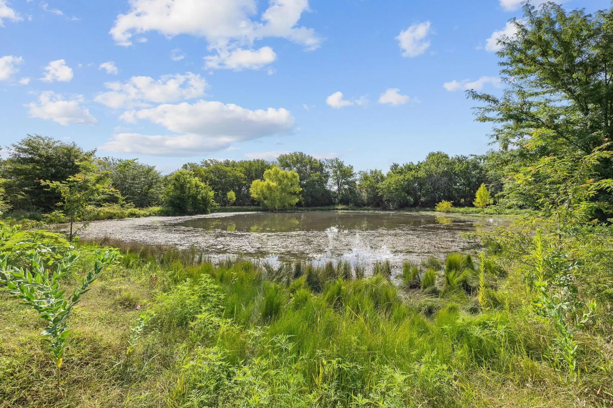 Unimproved Land For Sale in Grayson County , 39 Acres Brown Road, Sherman, Texas 75090, 0, 0, Garage spaces, 0 Sqft, built in 0, mls#21329182, Real Estate Agent in Sherman, Homes For Sale in Grayson county, Homes For Sale in Sherman, Realtor in Sherman Texas, Real Estate Brokerage Independent Realty Texas, Luminita Cordes Realtor