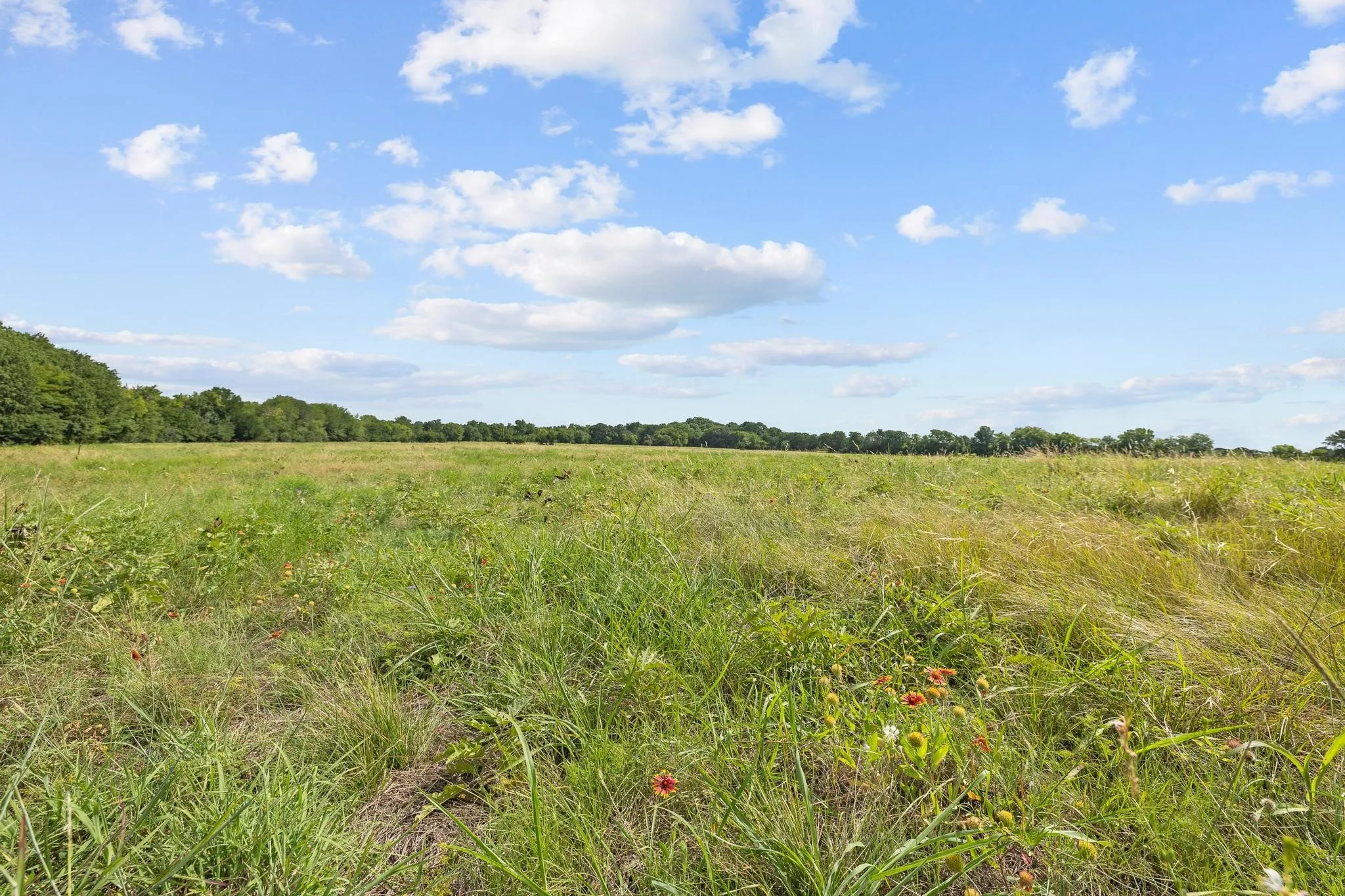Unimproved Land For Sale in Grayson County , 39 Acres Brown Road, Sherman, Texas 75090, 0, 0, Garage spaces, 0 Sqft, built in 0, mls#21329182, Real Estate Agent in Sherman, Homes For Sale in Grayson county, Homes For Sale in Sherman, Realtor in Sherman Texas, Real Estate Brokerage Independent Realty Texas, Luminita Cordes Realtor