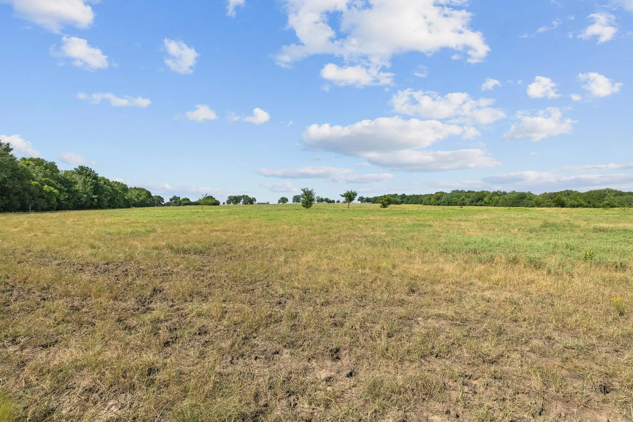 Unimproved Land For Sale in Grayson County , 39 Acres Brown Road, Sherman, Texas 75090, 0, 0, Garage spaces, 0 Sqft, built in 0, mls#21329182, Real Estate Agent in Sherman, Homes For Sale in Grayson county, Homes For Sale in Sherman, Realtor in Sherman Texas, Real Estate Brokerage Independent Realty Texas, Luminita Cordes Realtor