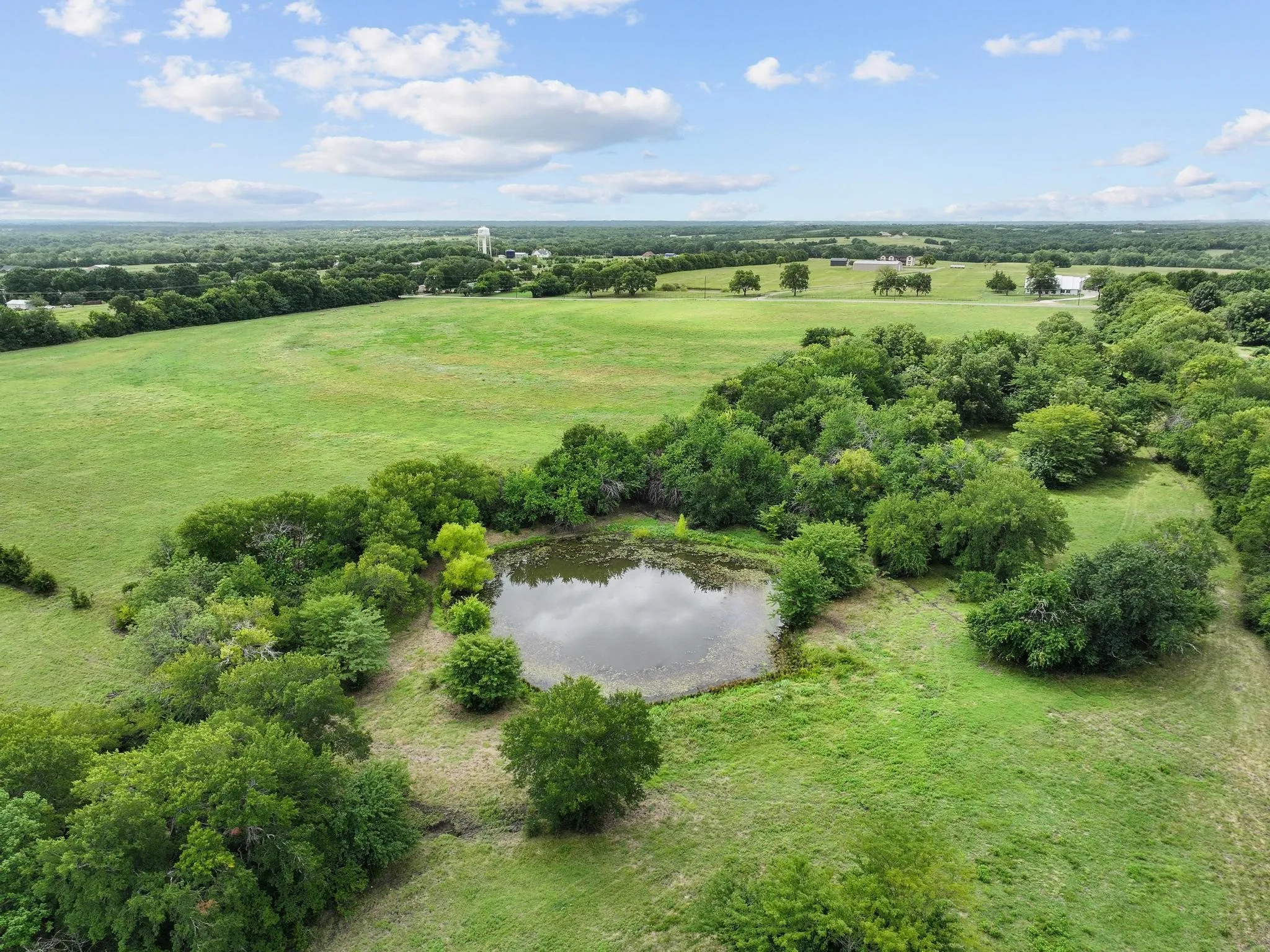 Unimproved Land For Sale in Grayson County , 39 Acres Brown Road, Sherman, Texas 75090, 0, 0, Garage spaces, 0 Sqft, built in 0, mls#21329182, Real Estate Agent in Sherman, Homes For Sale in Grayson county, Homes For Sale in Sherman, Realtor in Sherman Texas, Real Estate Brokerage Independent Realty Texas, Luminita Cordes Realtor