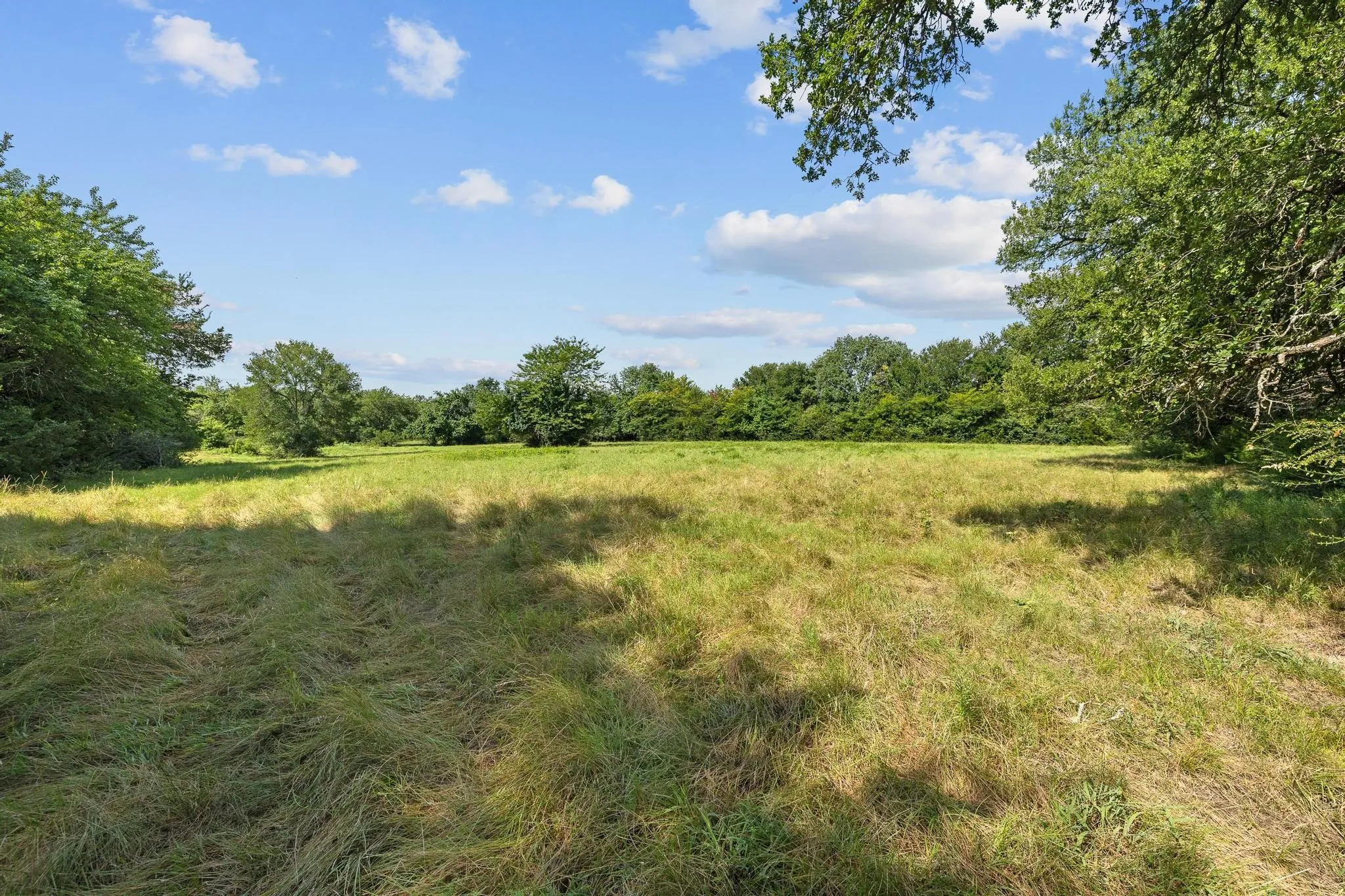 Unimproved Land For Sale in Grayson County , 39 Acres Brown Road, Sherman, Texas 75090, 0, 0, Garage spaces, 0 Sqft, built in 0, mls#21329182, Real Estate Agent in Sherman, Homes For Sale in Grayson county, Homes For Sale in Sherman, Realtor in Sherman Texas, Real Estate Brokerage Independent Realty Texas, Luminita Cordes Realtor