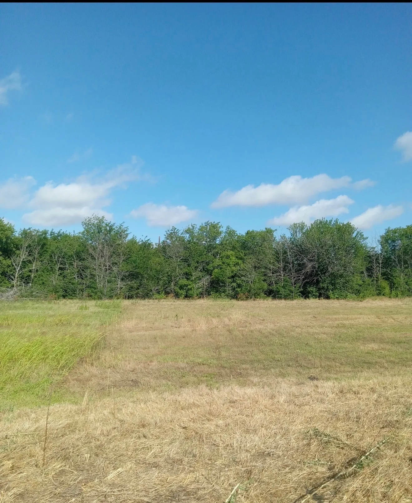 Unimproved Land For Sale in Cooke County , 309 Creekside, Valley View, Texas 76272, 0, 0, Garage spaces, 0 Sqft, built in 0, mls#21332591, Real Estate Agent in Valley View, Homes For Sale in Cooke county, Homes For Sale in Valley View, Realtor in Valley View Texas, Real Estate Brokerage Independent Realty Texas, Luminita Cordes Realtor