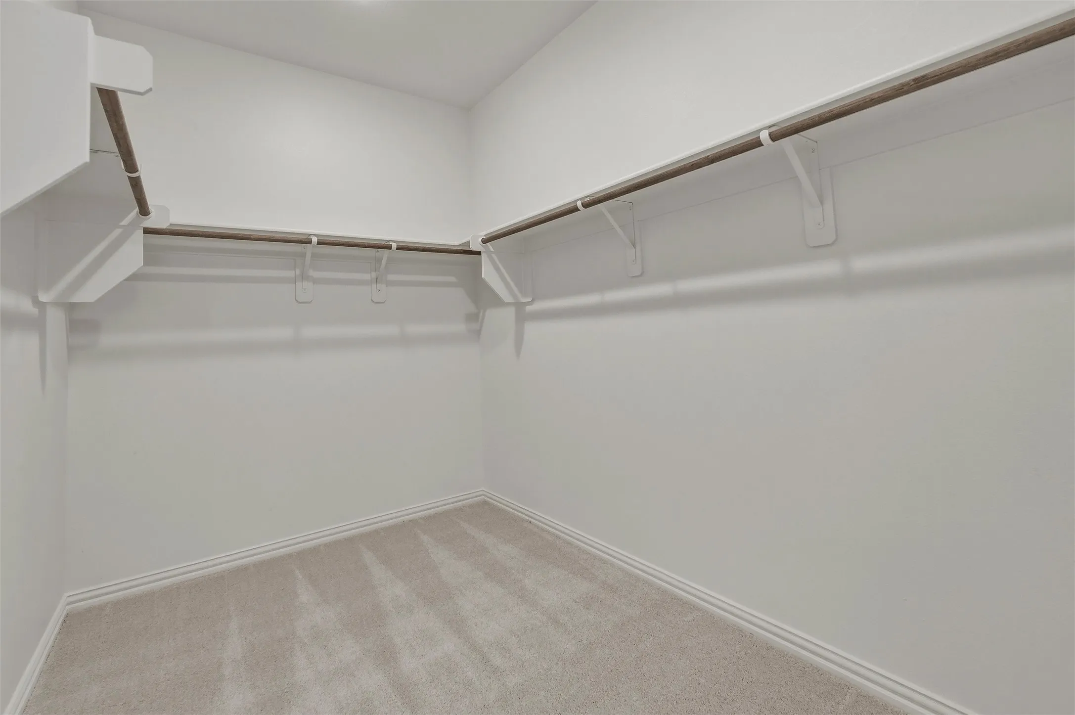 Walk-in closet featuring carpet flooring, built-in shelving, and hanging rods
