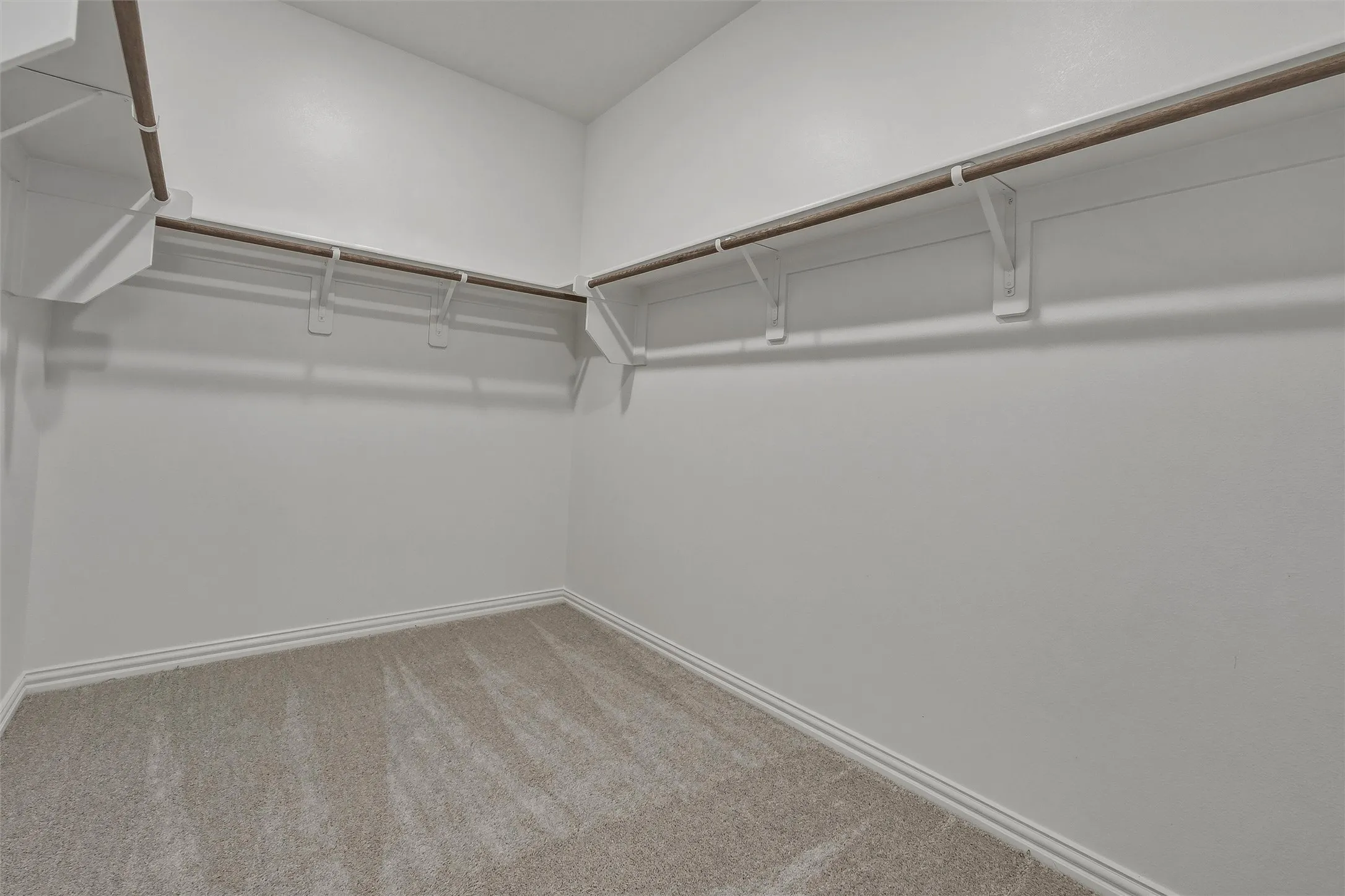 White walls with light-toned carpet flooring and built-in shelving with hanging rods