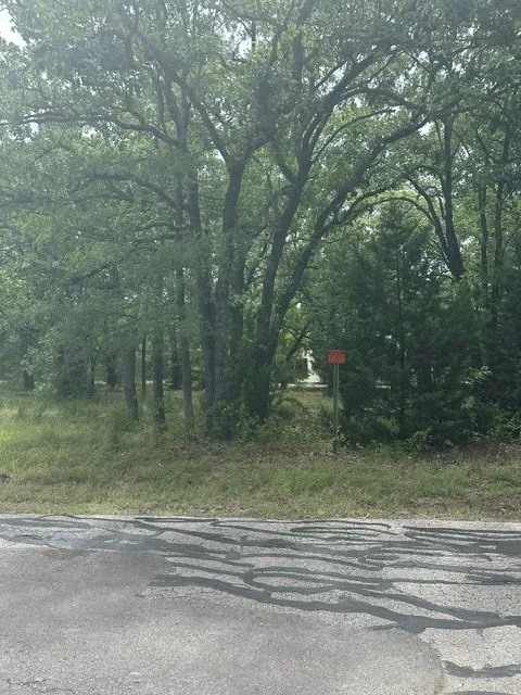 Unimproved Land For Sale in Henderson County , 0 Nob Hill Road, Gun Barrel City, Texas 75147, 0, 0, Garage spaces, 0 Sqft, built in 0, Price $18,000, mls#21309216, Real Estate Agent in Gun Barrel City, Homes For Sale in Henderson county, Homes For Sale in Gun Barrel City, Realtor in Gun Barrel City Texas, Real Estate Brokerage Independent Realty Texas, Luminita Cordes Realtor