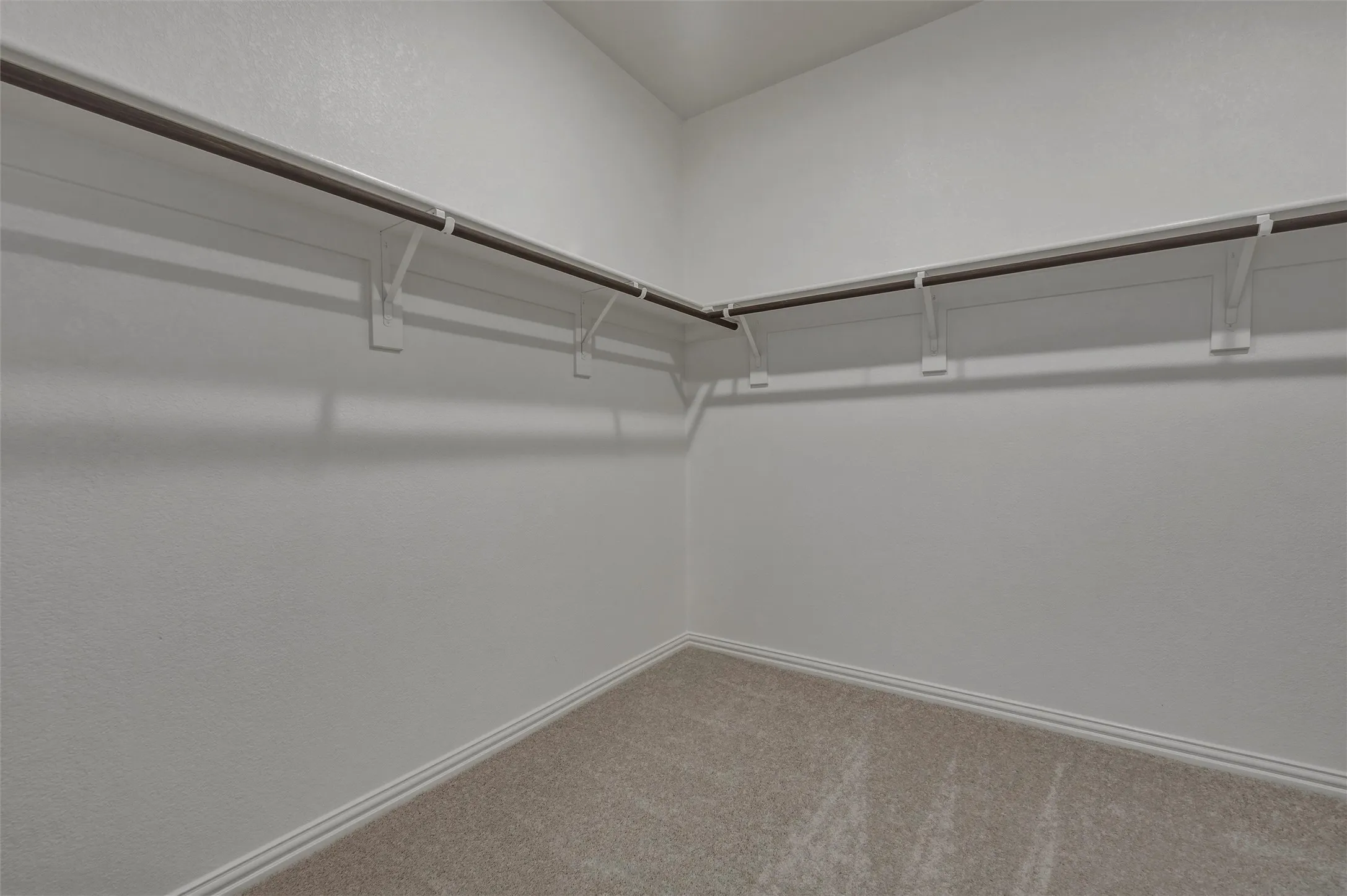 Walk-in closet with ample hanging rods and carpet flooring