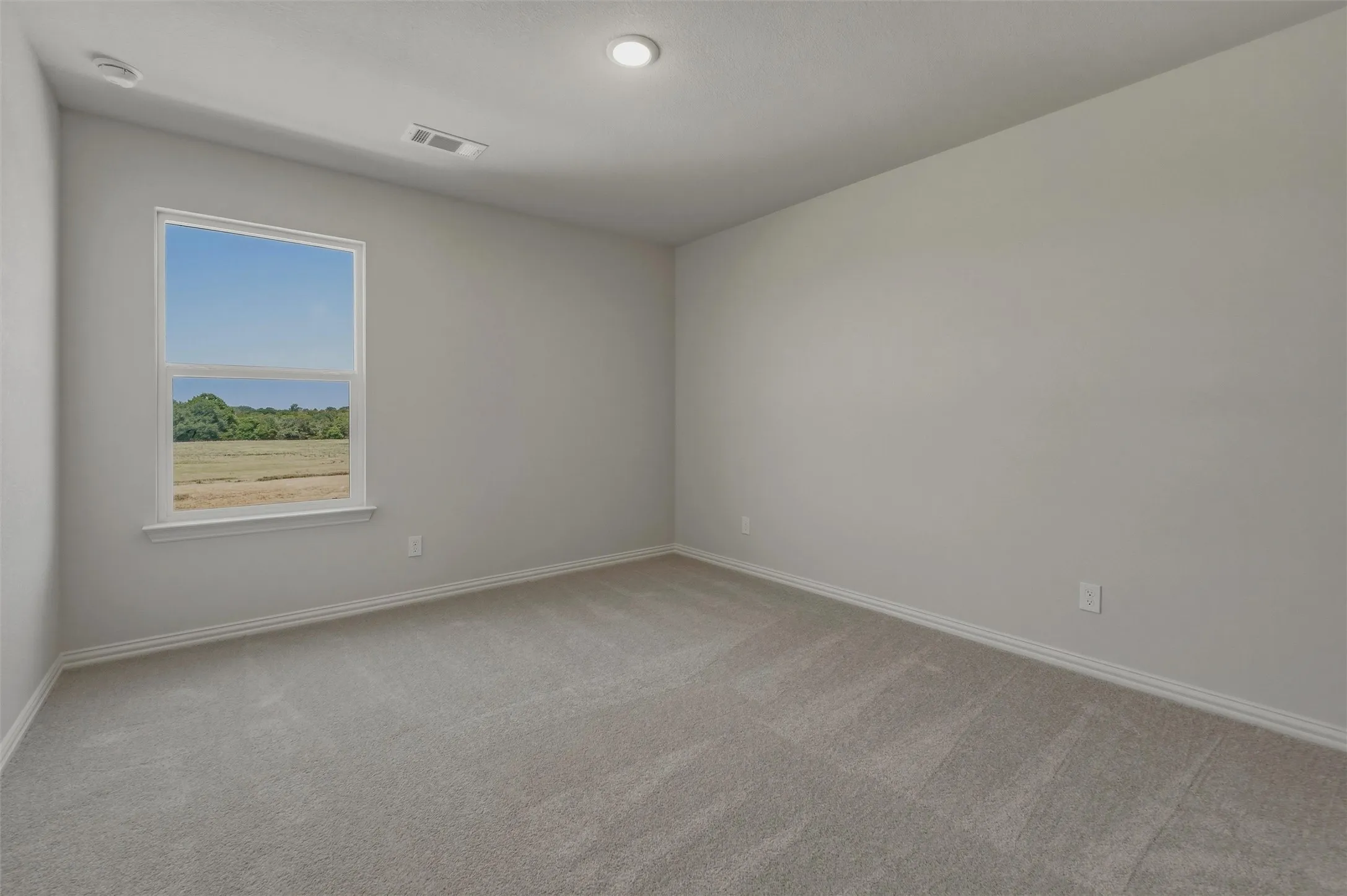 Spacious room featuring neutral carpeting, light-toned walls, and a large window with natural light