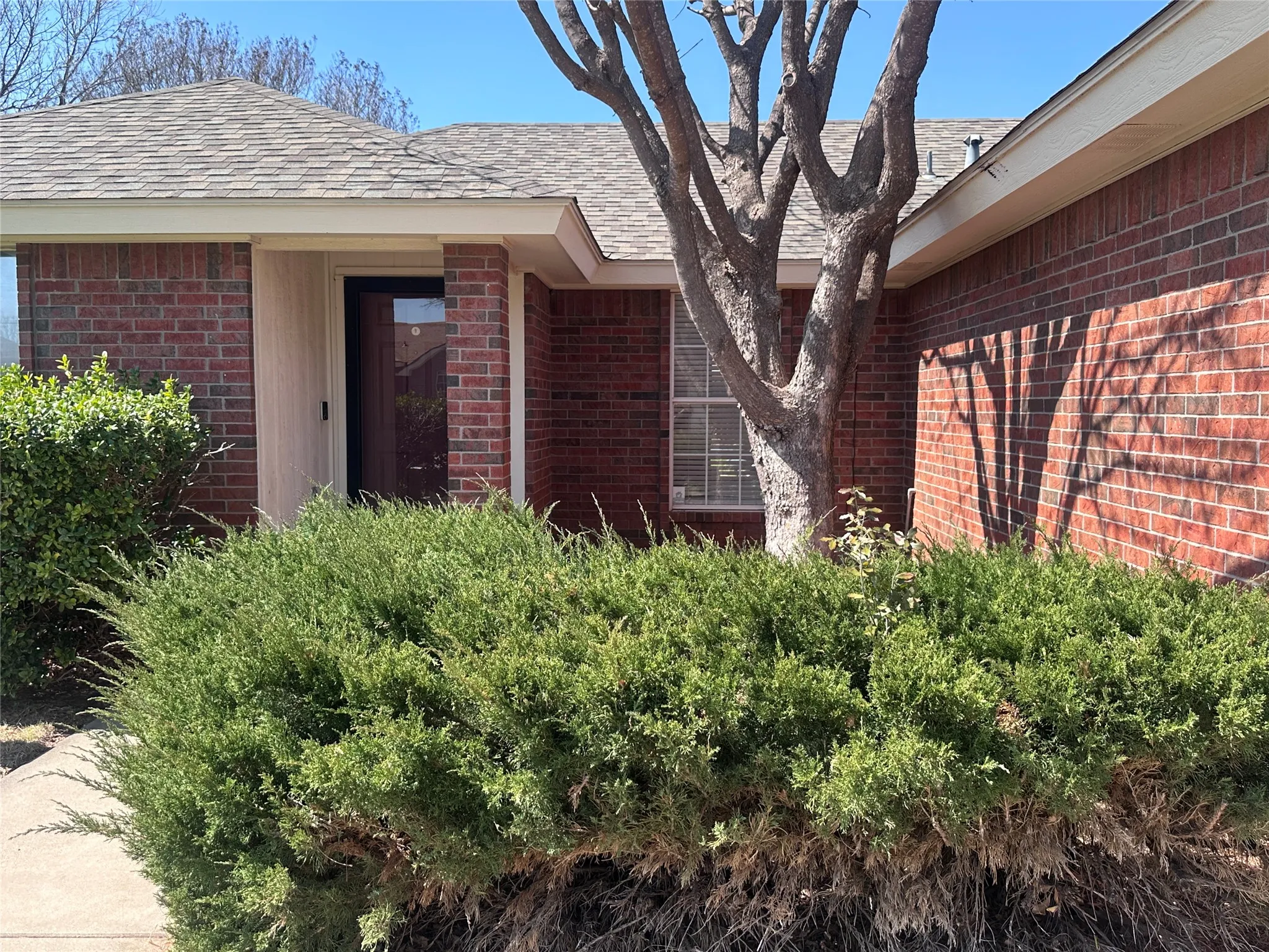 Single Family Residence For Rent in Taylor County , 3834 Purdue Lane, Abilene, Texas 79602, 3 Bedroom, 2 Bathroom, 2 Garage spaces, 1,232 Sqft, built in 1995, mls#21332960, Real Estate Agent in Abilene, Homes For Rent in Taylor county, Homes For Rent in Abilene, Realtor in Abilene Texas, Real Estate Brokerage Independent Realty Texas, Luminita Cordes Realtor