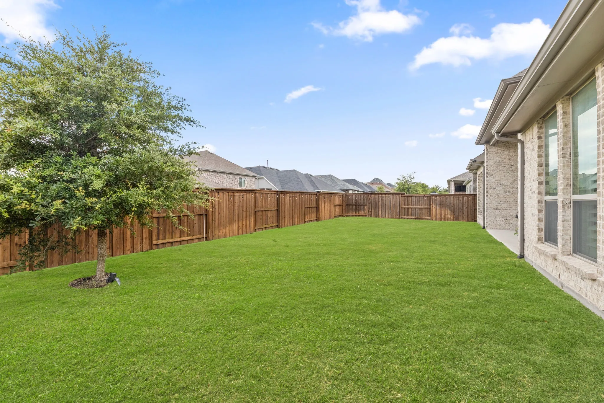 Expansive lawn area featuring a mature tree