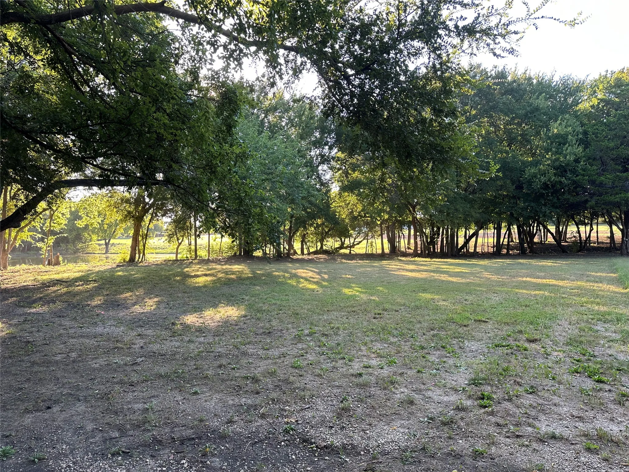 View behind tree-line.