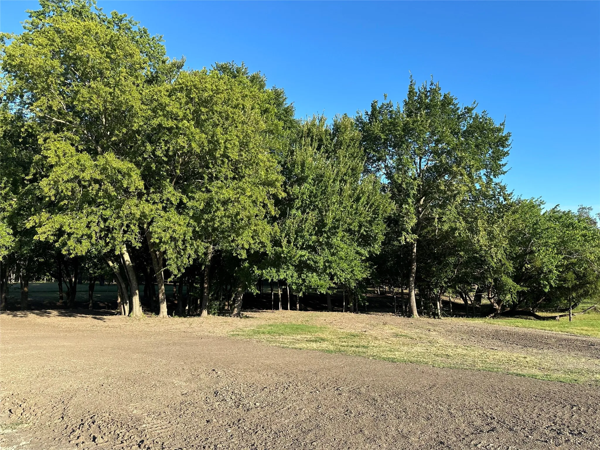 View of nature
