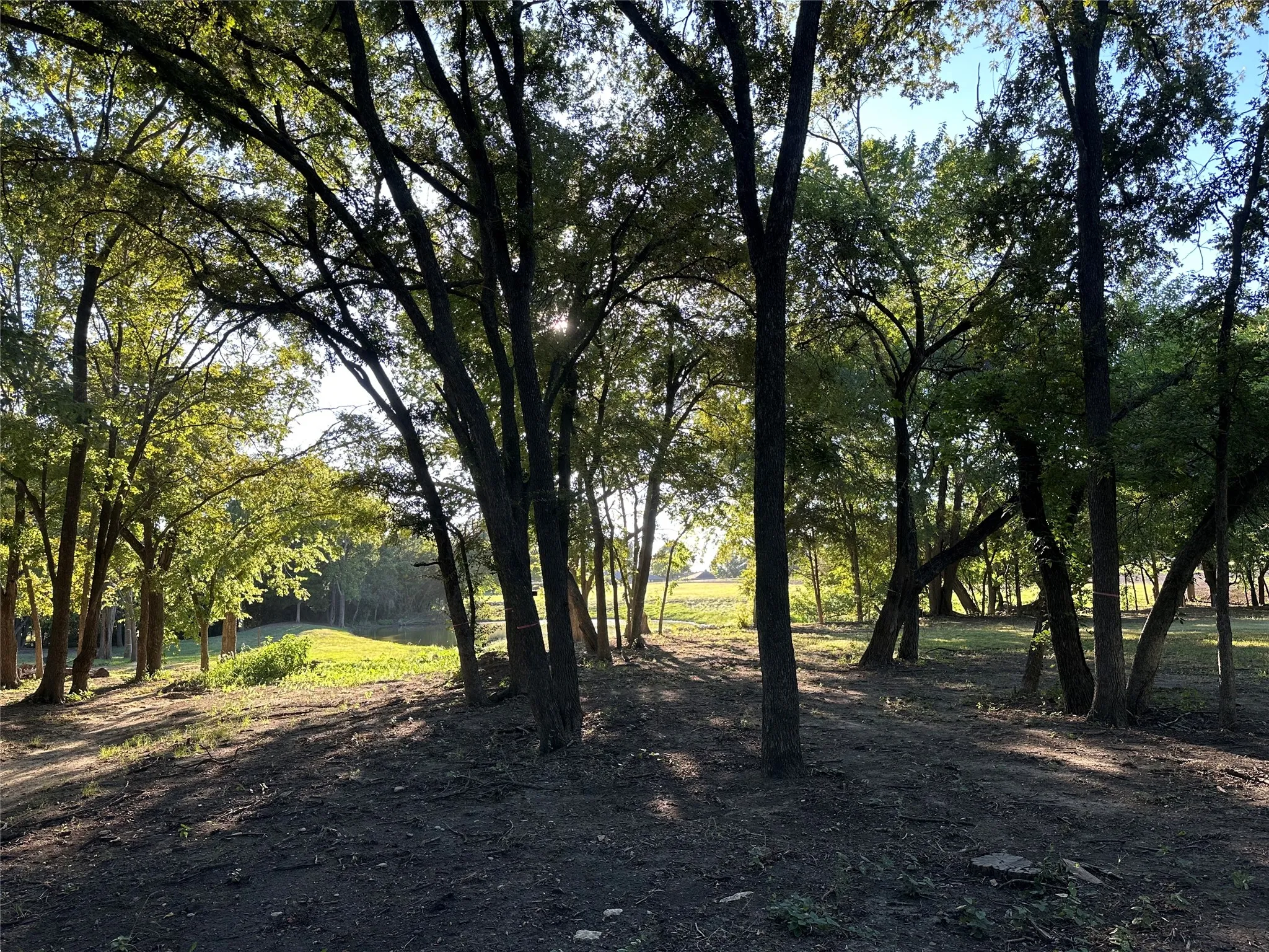 View of undeveloped land