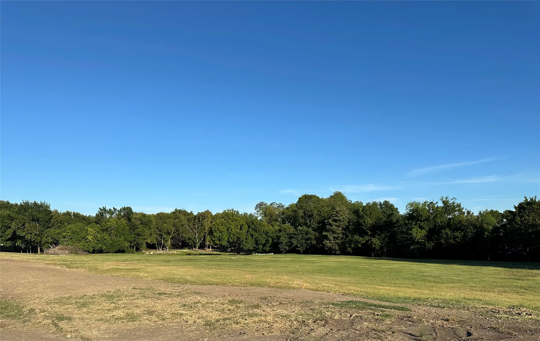 View of tree filled area
