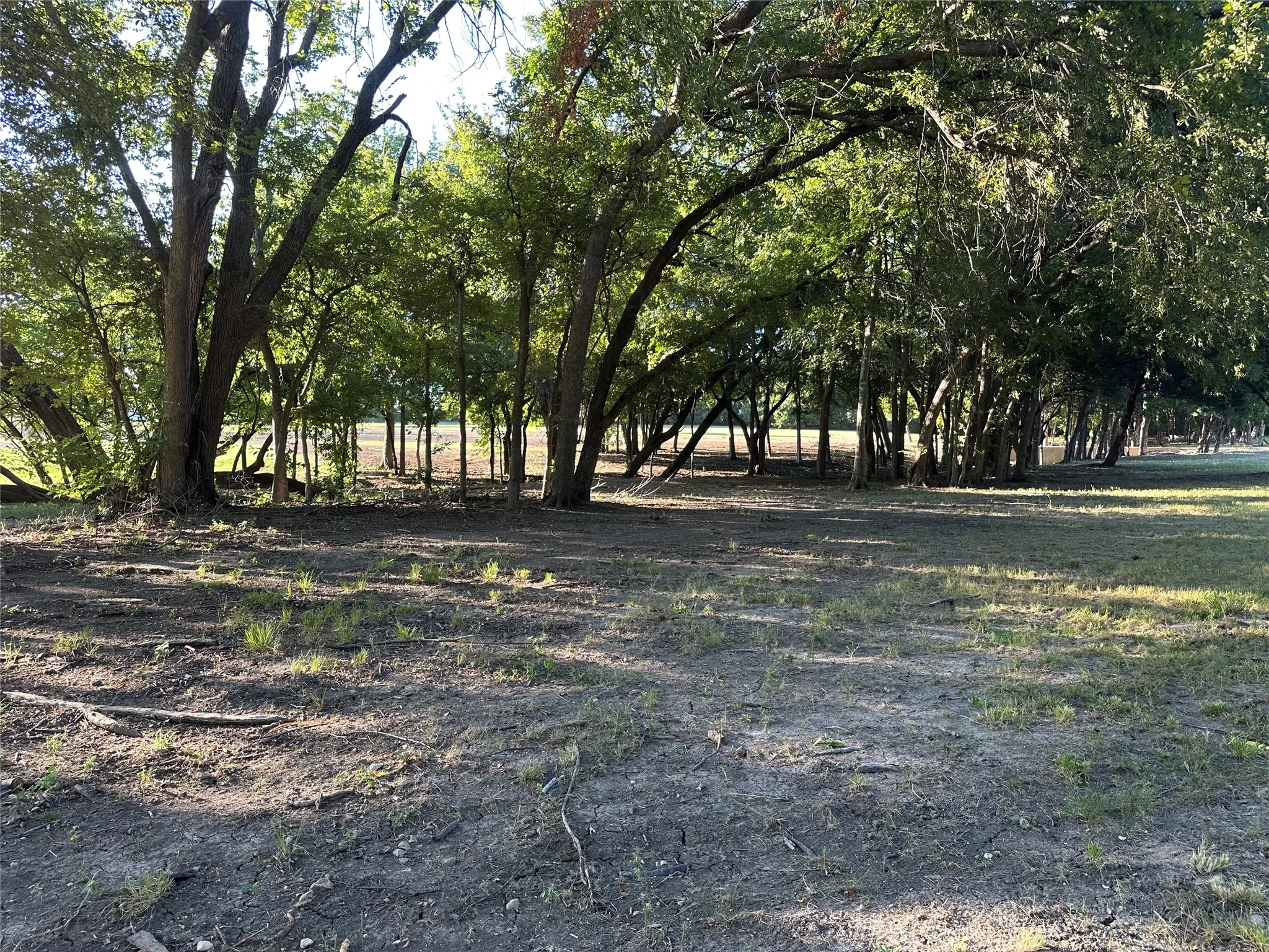 Additional land behind tree-line.