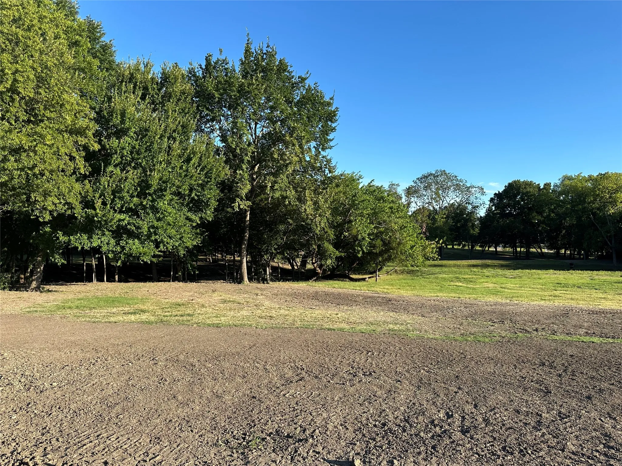 View of undeveloped land