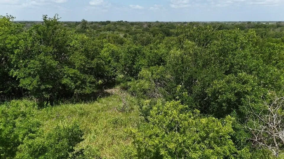 Improved Land For Sale in Hill County , 0 (OFF) HCR 3255, Mount Calm, Texas 76673, 0, 0, Garage spaces, 0 Sqft, built in 0, Price $32,000, mls#21332994, Real Estate Agent in Mount Calm, Homes For Sale in Hill county, Homes For Sale in Mount Calm, Realtor in Mount Calm Texas, Real Estate Brokerage Independent Realty Texas, Luminita Cordes Realtor