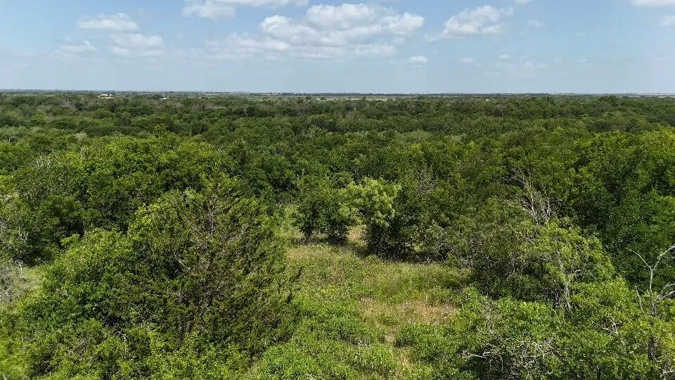 Improved Land For Sale in Hill County , 0 (OFF) HCR 3255, Mount Calm, Texas 76673, 0, 0, Garage spaces, 0 Sqft, built in 0, Price $32,000, mls#21332994, Real Estate Agent in Mount Calm, Homes For Sale in Hill county, Homes For Sale in Mount Calm, Realtor in Mount Calm Texas, Real Estate Brokerage Independent Realty Texas, Luminita Cordes Realtor