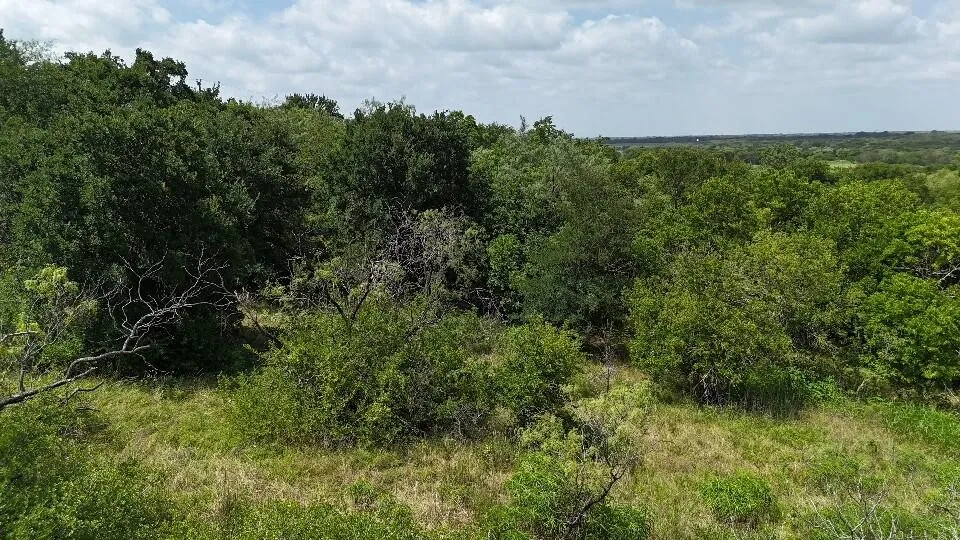 Improved Land For Sale in Hill County , 0 (OFF) HCR 3255, Mount Calm, Texas 76673, 0, 0, Garage spaces, 0 Sqft, built in 0, Price $32,000, mls#21332994, Real Estate Agent in Mount Calm, Homes For Sale in Hill county, Homes For Sale in Mount Calm, Realtor in Mount Calm Texas, Real Estate Brokerage Independent Realty Texas, Luminita Cordes Realtor