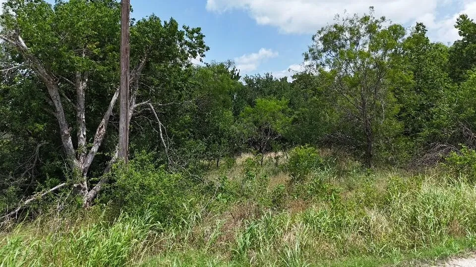 Improved Land For Sale in Hill County , 0 (OFF) HCR 3255, Mount Calm, Texas 76673, 0, 0, Garage spaces, 0 Sqft, built in 0, Price $32,000, mls#21332994, Real Estate Agent in Mount Calm, Homes For Sale in Hill county, Homes For Sale in Mount Calm, Realtor in Mount Calm Texas, Real Estate Brokerage Independent Realty Texas, Luminita Cordes Realtor