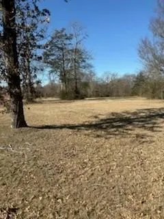 Unimproved Land For Sale in Van Zandt County , 00 S FM 314 Highway, Van, Texas 75790, 0, 0, Garage spaces, 0 Sqft, built in 0, Price $699,000, mls#21333003, Real Estate Agent in Van, Homes For Sale in Van Zandt county, Homes For Sale in Van, Realtor in Van Texas, Real Estate Brokerage Independent Realty Texas, Luminita Cordes Realtor