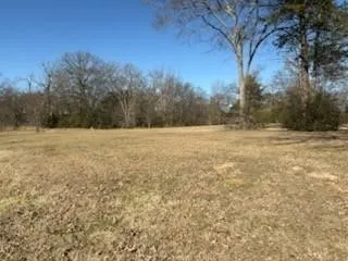 Unimproved Land For Sale in Van Zandt County , 00 S FM 314 Highway, Van, Texas 75790, 0, 0, Garage spaces, 0 Sqft, built in 0, Price $699,000, mls#21333003, Real Estate Agent in Van, Homes For Sale in Van Zandt county, Homes For Sale in Van, Realtor in Van Texas, Real Estate Brokerage Independent Realty Texas, Luminita Cordes Realtor