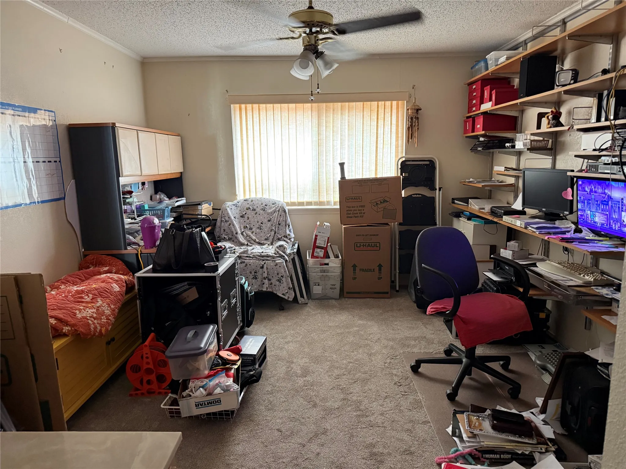 Room featuring a window with vertical blinds, a ceiling fan, and wall-mounted shelving
