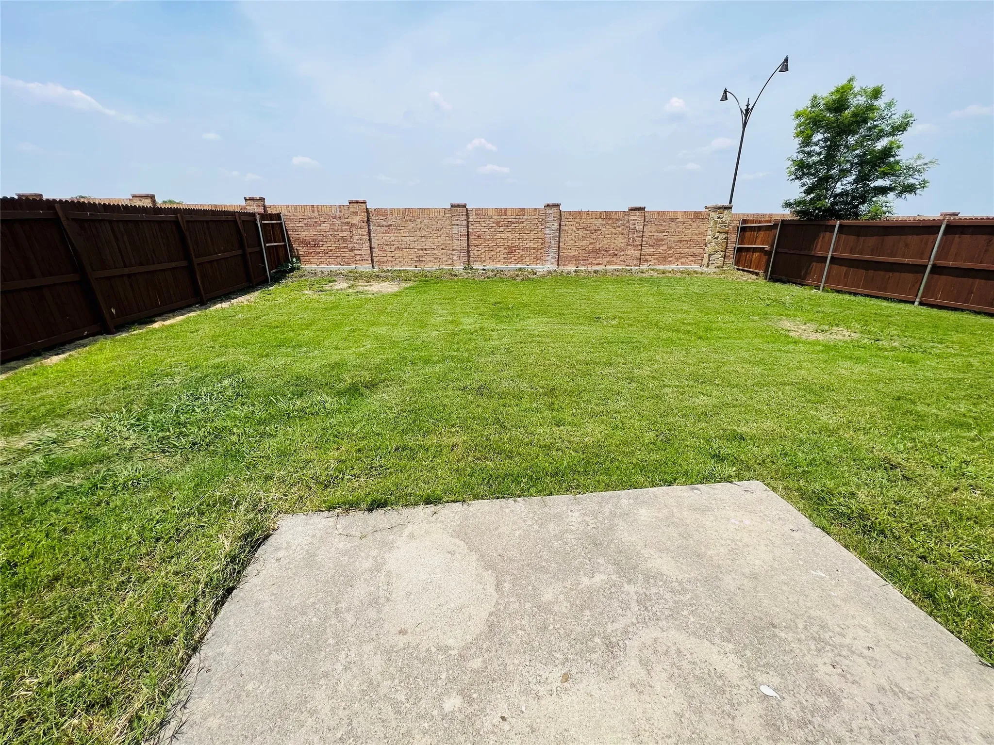 Backyard