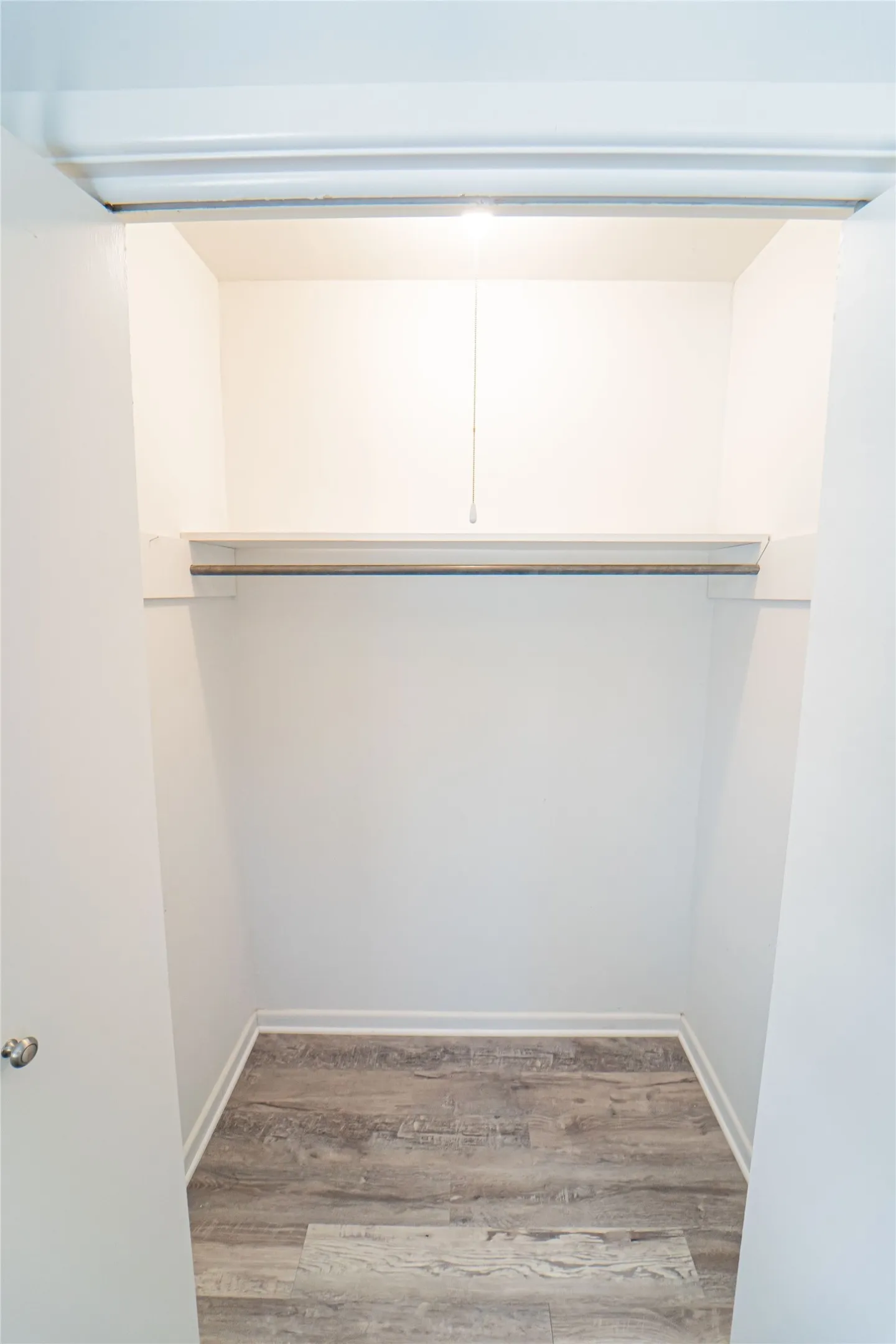 Closet space featuring wood-finish flooring, white walls, built-in shelving, and a hanging rod