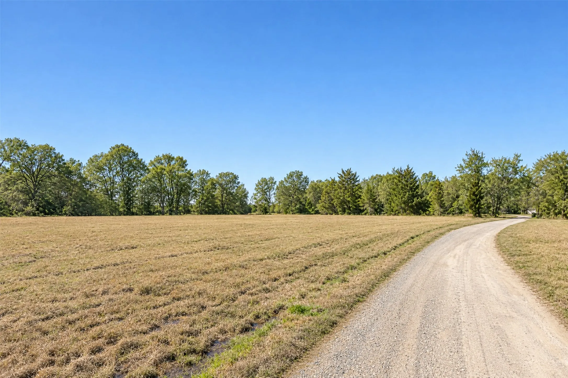 Single Family Residence For Sale in Bowie County , 2735 Daniels Chapel Road, New Boston, Texas 75570, 6 Bedroom, 4 Bathroom, 2 Garage spaces, 4,276 Sqft, built in 1996, mls#21333077, Real Estate Agent in New Boston, Homes For Sale in Bowie county, Homes For Sale in New Boston, Realtor in New Boston Texas, Real Estate Brokerage Independent Realty Texas, Luminita Cordes Realtor
