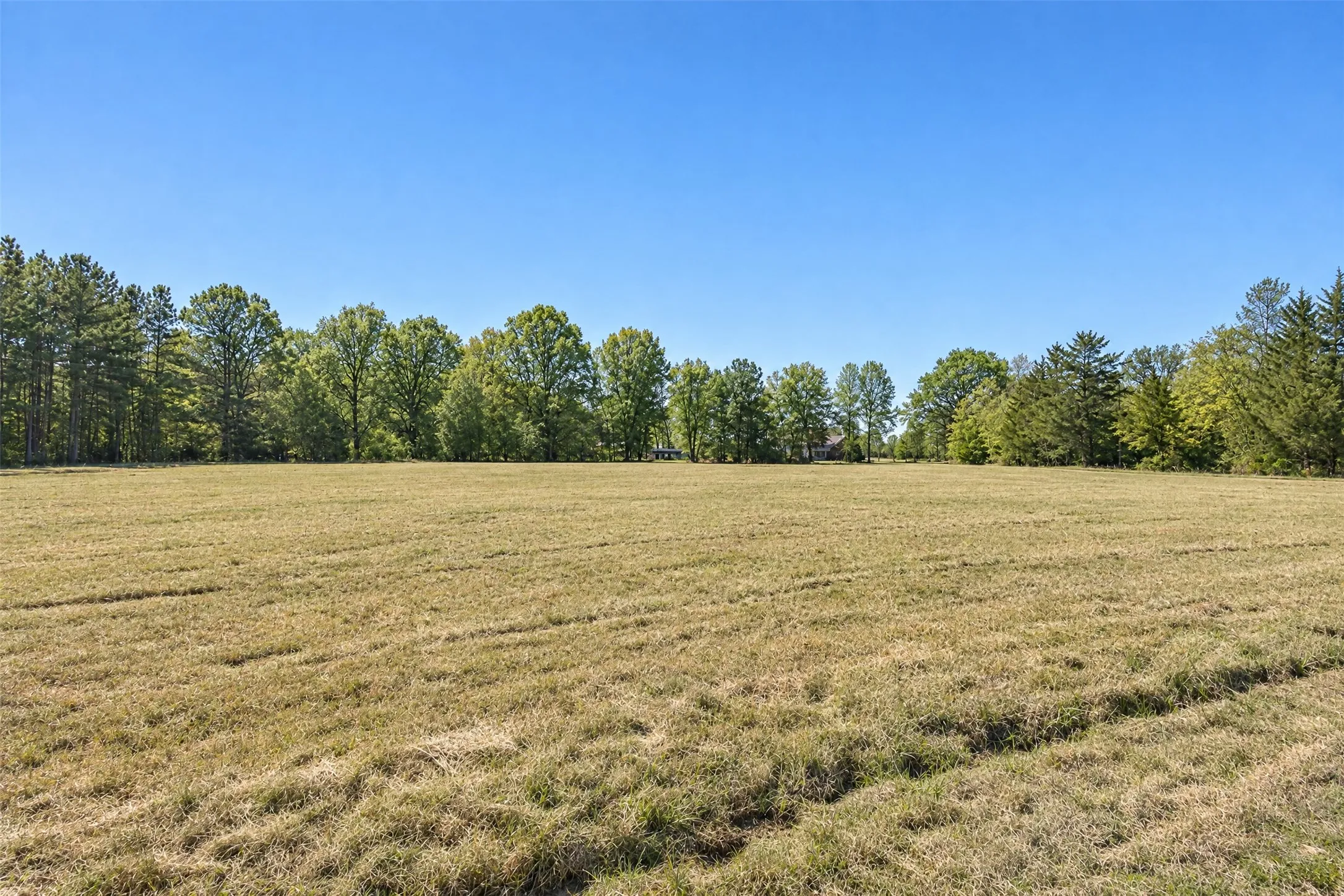 Single Family Residence For Sale in Bowie County , 2735 Daniels Chapel Road, New Boston, Texas 75570, 6 Bedroom, 4 Bathroom, 2 Garage spaces, 4,276 Sqft, built in 1996, mls#21333077, Real Estate Agent in New Boston, Homes For Sale in Bowie county, Homes For Sale in New Boston, Realtor in New Boston Texas, Real Estate Brokerage Independent Realty Texas, Luminita Cordes Realtor