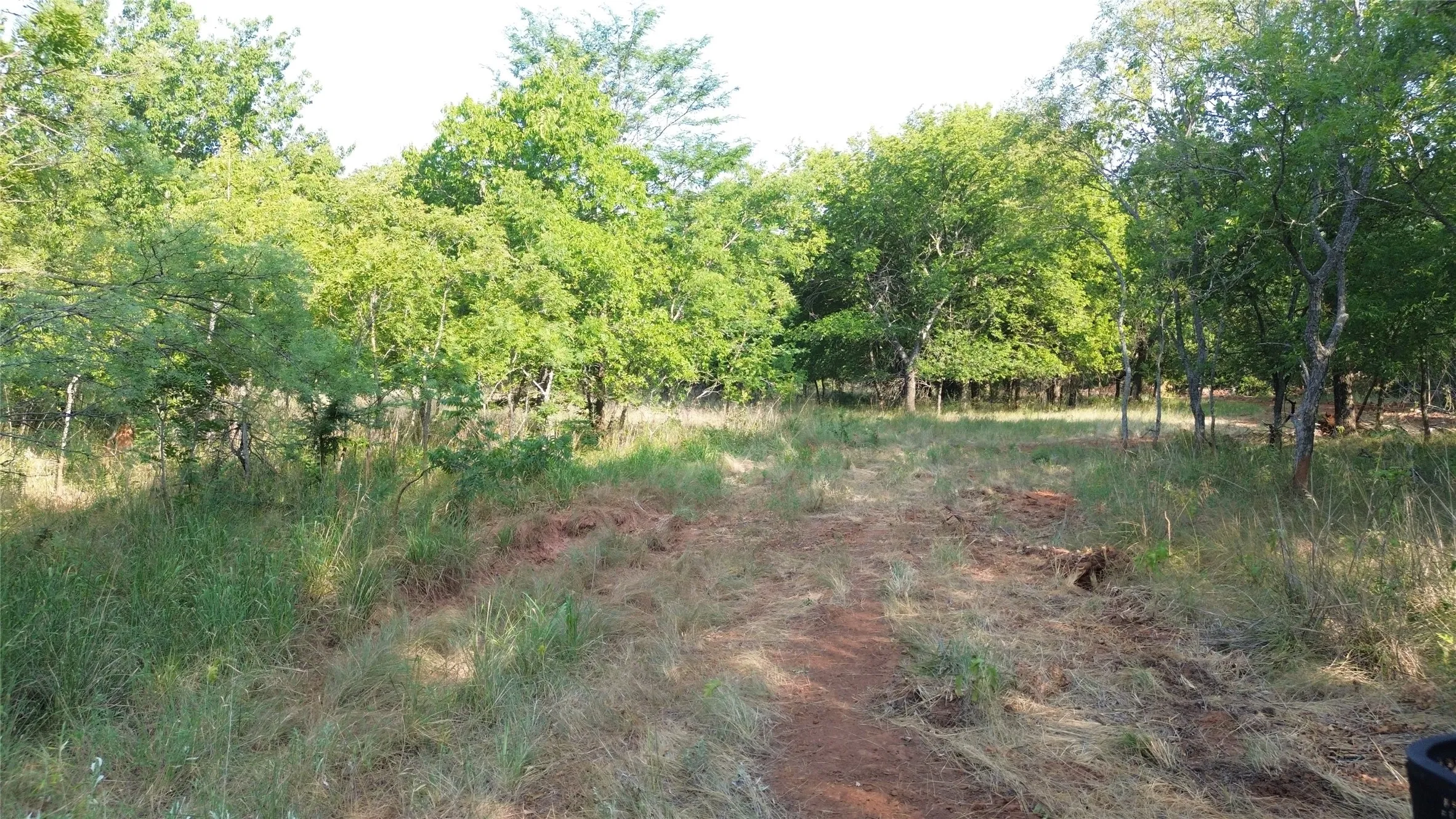 Ranch For Sale in Clay County , 0 Adair Road, Byers, Texas 76357, 0, 0, Garage spaces, 0 Sqft, built in 0, Price $3,500,000, mls#21332134, Real Estate Agent in Byers, Homes For Sale in Clay county, Homes For Sale in Byers, Realtor in Byers Texas, Real Estate Brokerage Independent Realty Texas, Luminita Cordes Realtor