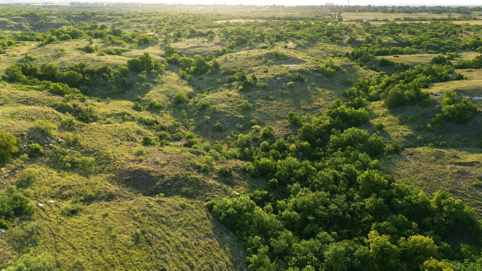 Ranch For Sale in Clay County , 0 Adair Road, Byers, Texas 76357, 0, 0, Garage spaces, 0 Sqft, built in 0, Price $3,500,000, mls#21332134, Real Estate Agent in Byers, Homes For Sale in Clay county, Homes For Sale in Byers, Realtor in Byers Texas, Real Estate Brokerage Independent Realty Texas, Luminita Cordes Realtor