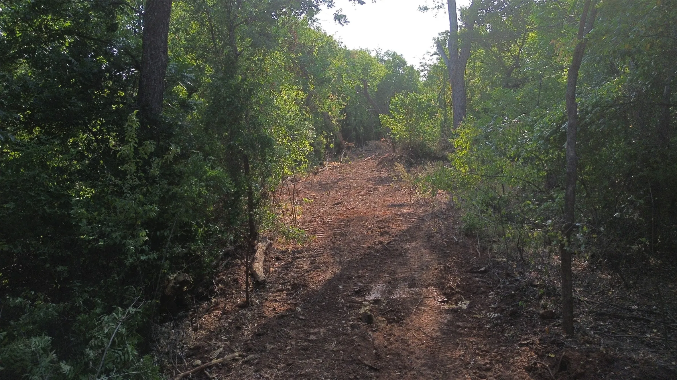 Ranch For Sale in Clay County , 0 Adair Road, Byers, Texas 76357, 0, 0, Garage spaces, 0 Sqft, built in 0, Price $3,500,000, mls#21332134, Real Estate Agent in Byers, Homes For Sale in Clay county, Homes For Sale in Byers, Realtor in Byers Texas, Real Estate Brokerage Independent Realty Texas, Luminita Cordes Realtor