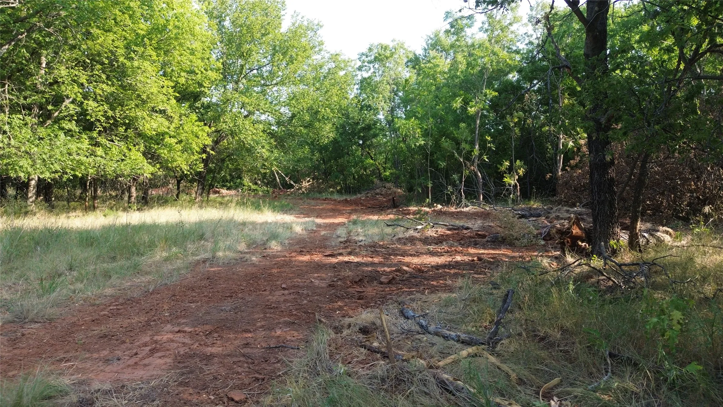 Ranch For Sale in Clay County , 0 Adair Road, Byers, Texas 76357, 0, 0, Garage spaces, 0 Sqft, built in 0, Price $3,500,000, mls#21332134, Real Estate Agent in Byers, Homes For Sale in Clay county, Homes For Sale in Byers, Realtor in Byers Texas, Real Estate Brokerage Independent Realty Texas, Luminita Cordes Realtor