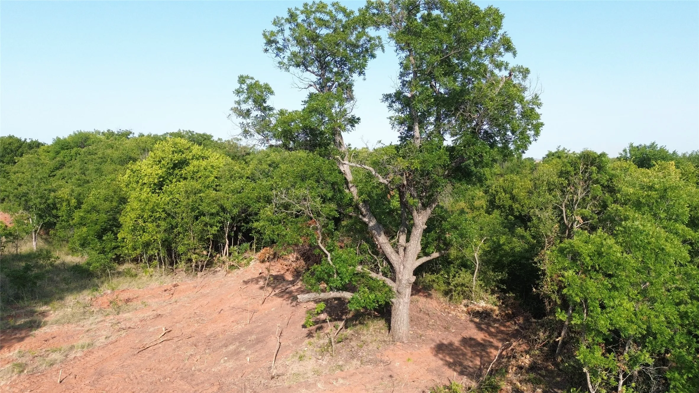 Ranch For Sale in Clay County , 0 Adair Road, Byers, Texas 76357, 0, 0, Garage spaces, 0 Sqft, built in 0, Price $3,500,000, mls#21332134, Real Estate Agent in Byers, Homes For Sale in Clay county, Homes For Sale in Byers, Realtor in Byers Texas, Real Estate Brokerage Independent Realty Texas, Luminita Cordes Realtor
