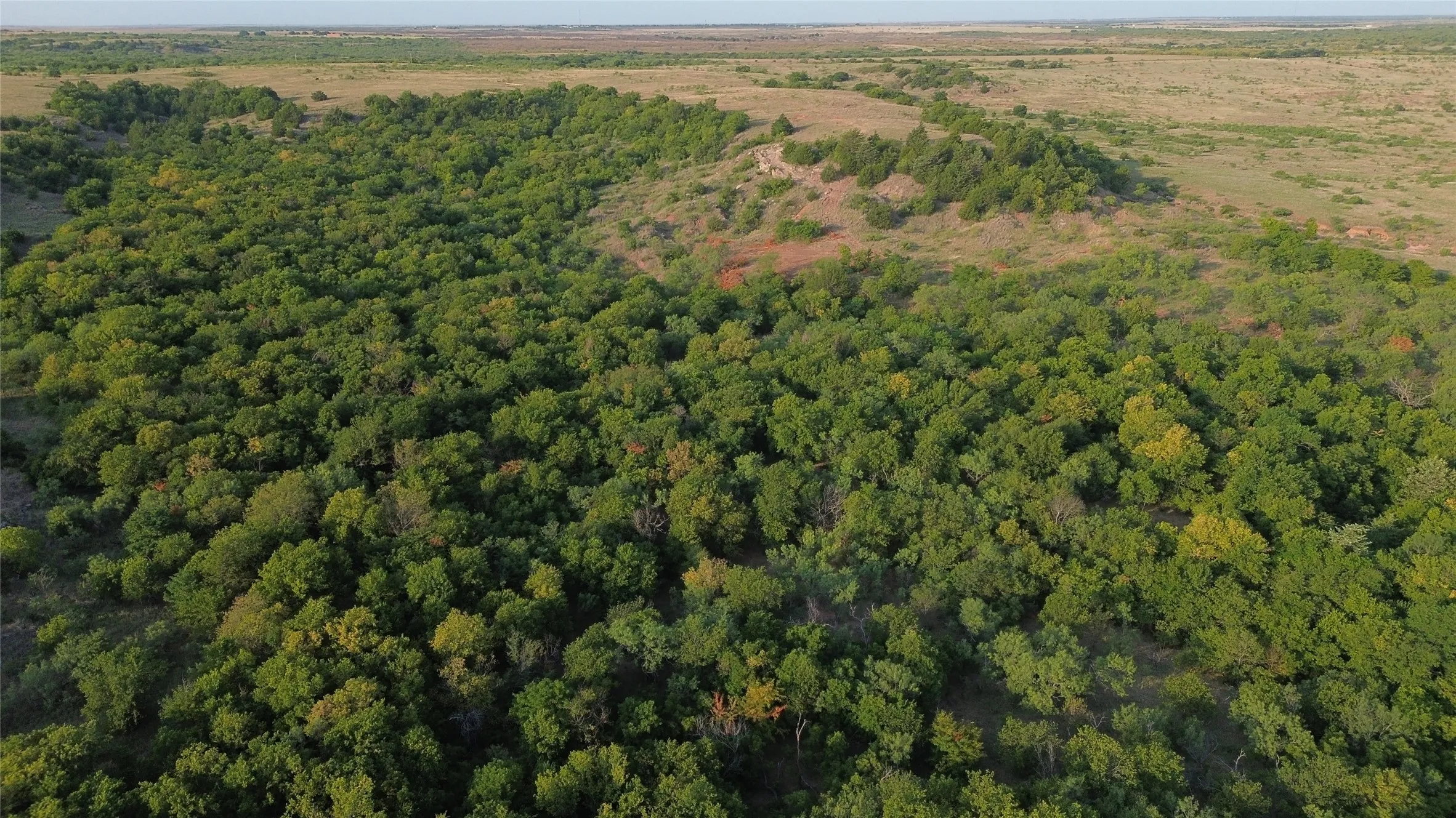 Ranch For Sale in Clay County , 0 Adair Road, Byers, Texas 76357, 0, 0, Garage spaces, 0 Sqft, built in 0, Price $3,500,000, mls#21332134, Real Estate Agent in Byers, Homes For Sale in Clay county, Homes For Sale in Byers, Realtor in Byers Texas, Real Estate Brokerage Independent Realty Texas, Luminita Cordes Realtor