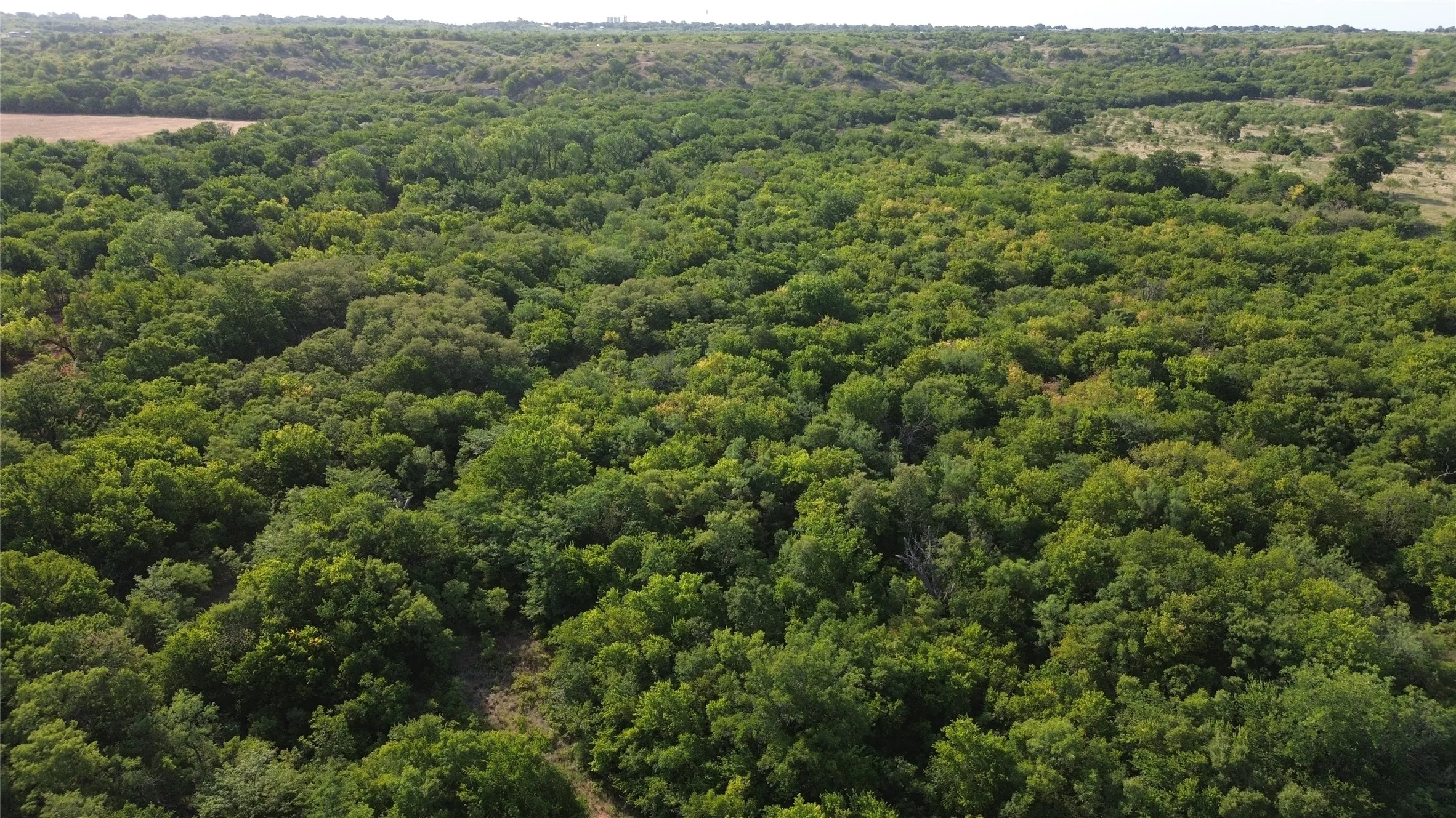 Ranch For Sale in Clay County , 0 Adair Road, Byers, Texas 76357, 0, 0, Garage spaces, 0 Sqft, built in 0, Price $3,500,000, mls#21332134, Real Estate Agent in Byers, Homes For Sale in Clay county, Homes For Sale in Byers, Realtor in Byers Texas, Real Estate Brokerage Independent Realty Texas, Luminita Cordes Realtor